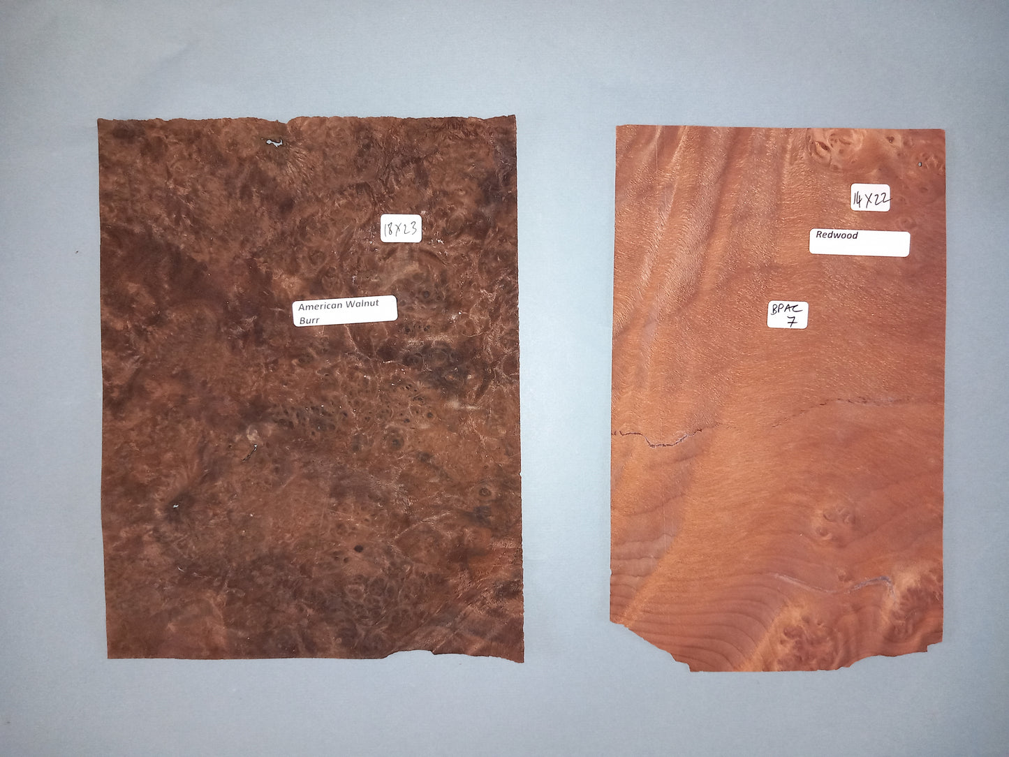 MIXED BURR PACK VENEERS BPAC7