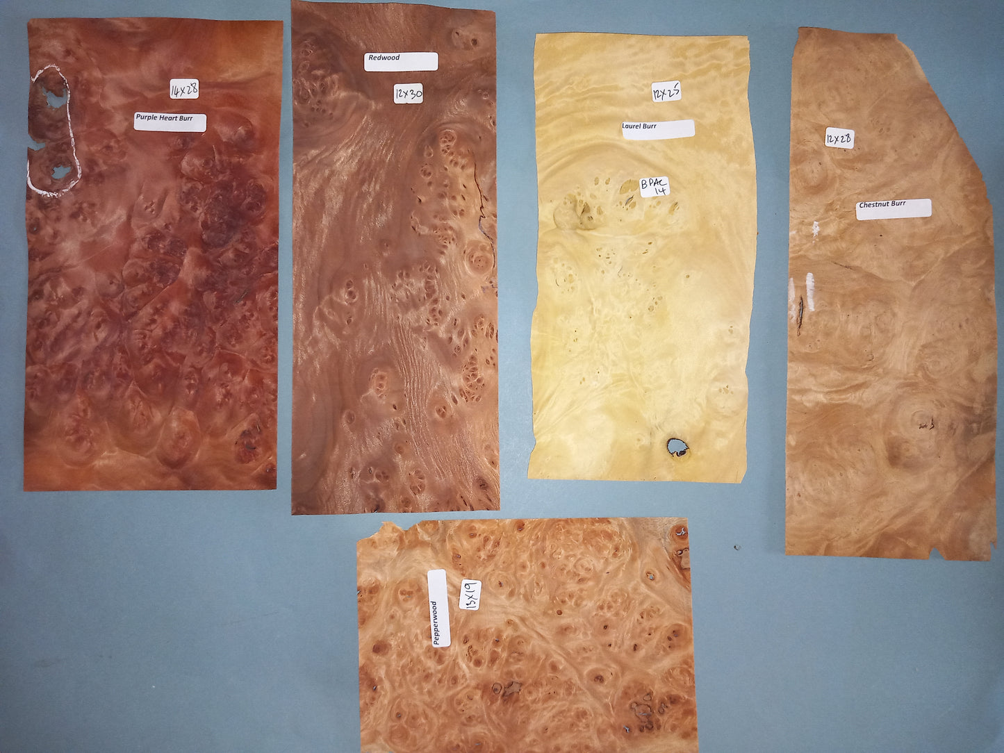 MIXED BURR PACK VENEERS BPAC14