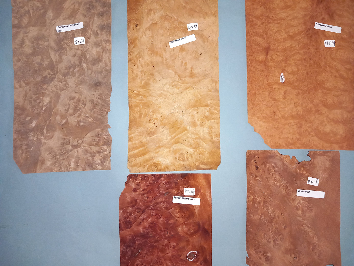 MIXED BURR PACK VENEERS BPAC16