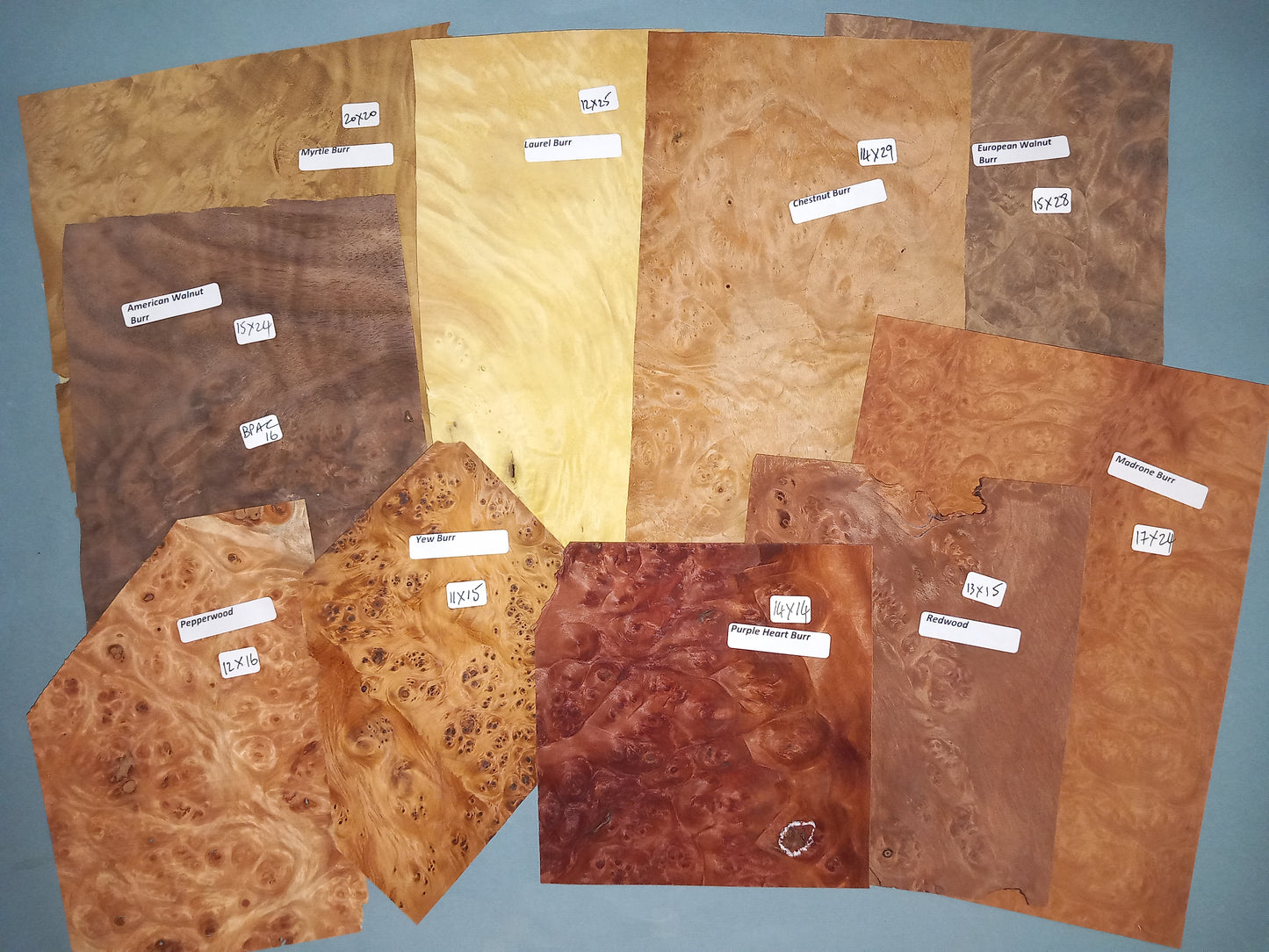 MIXED BURR PACK VENEERS BPAC16
