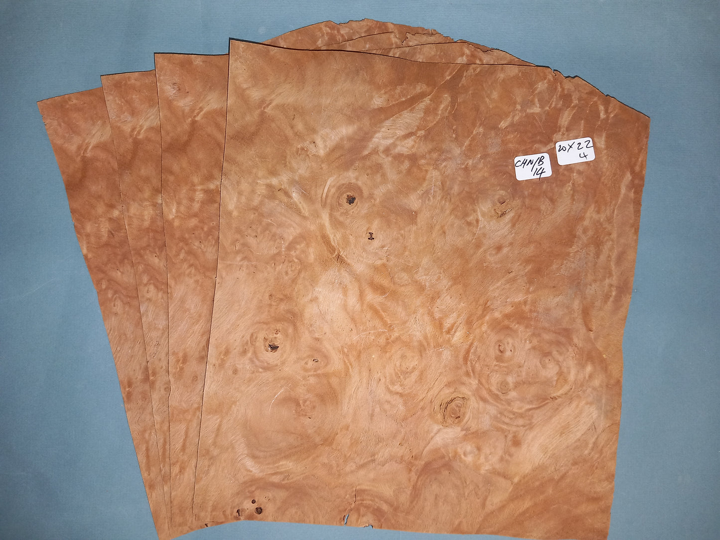 4 CONSECUTIVE SHEETS OF CHESTNUT BURR VENEER 20 X 22 CM