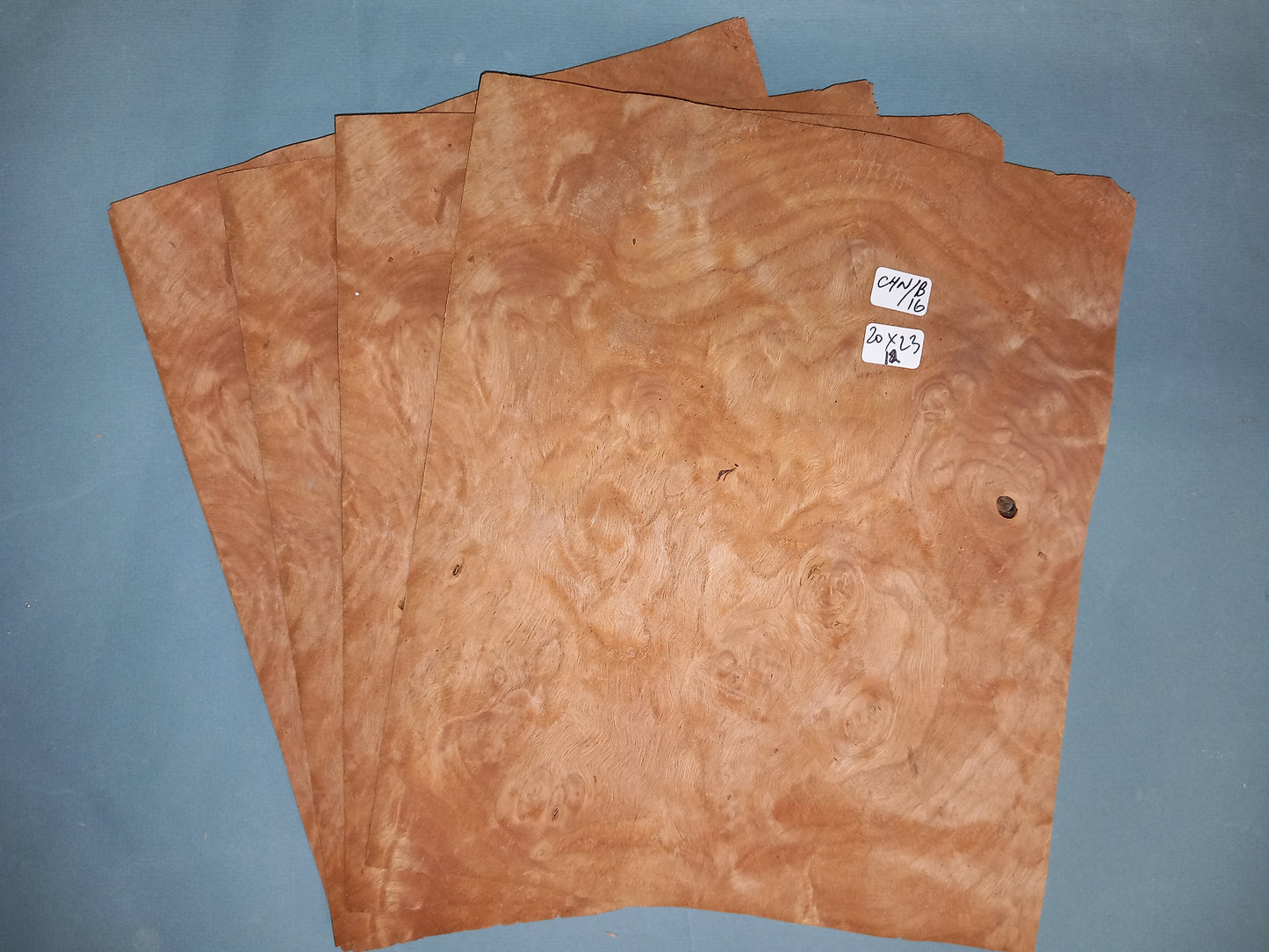 4 CONSECUTIVE SHEETS OF CHESTNUT BURR VENEER 20 X 23 CM