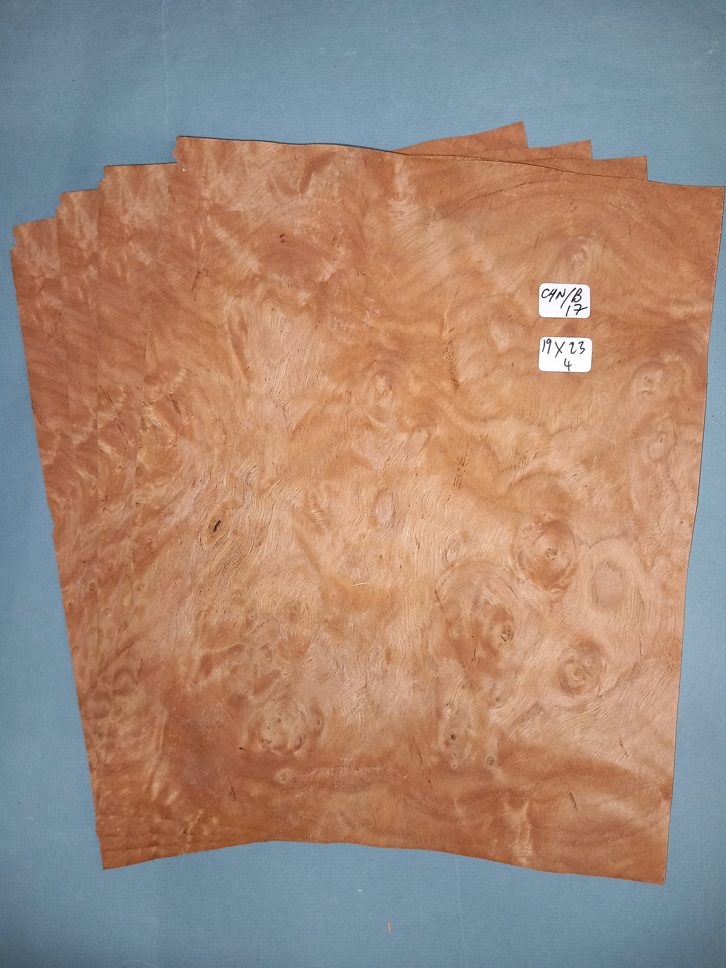 4 CONSECUTIVE SHEETS OF CHESTNUT BURR VENEER 19 X 23 CM