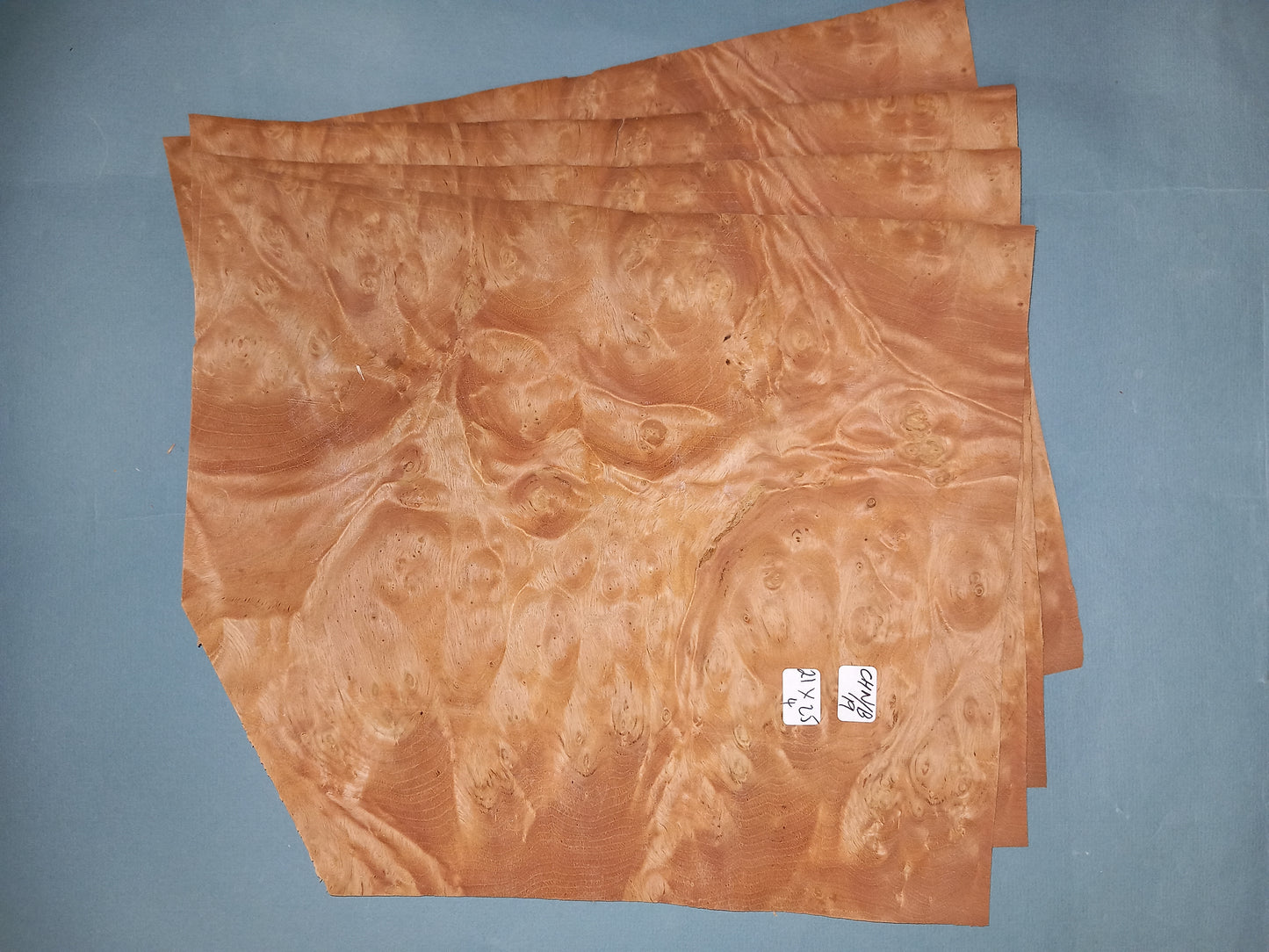 4 CONSECUTIVE SHEETS OF CHESTNUT BURR VENEER 21 X 25 CM