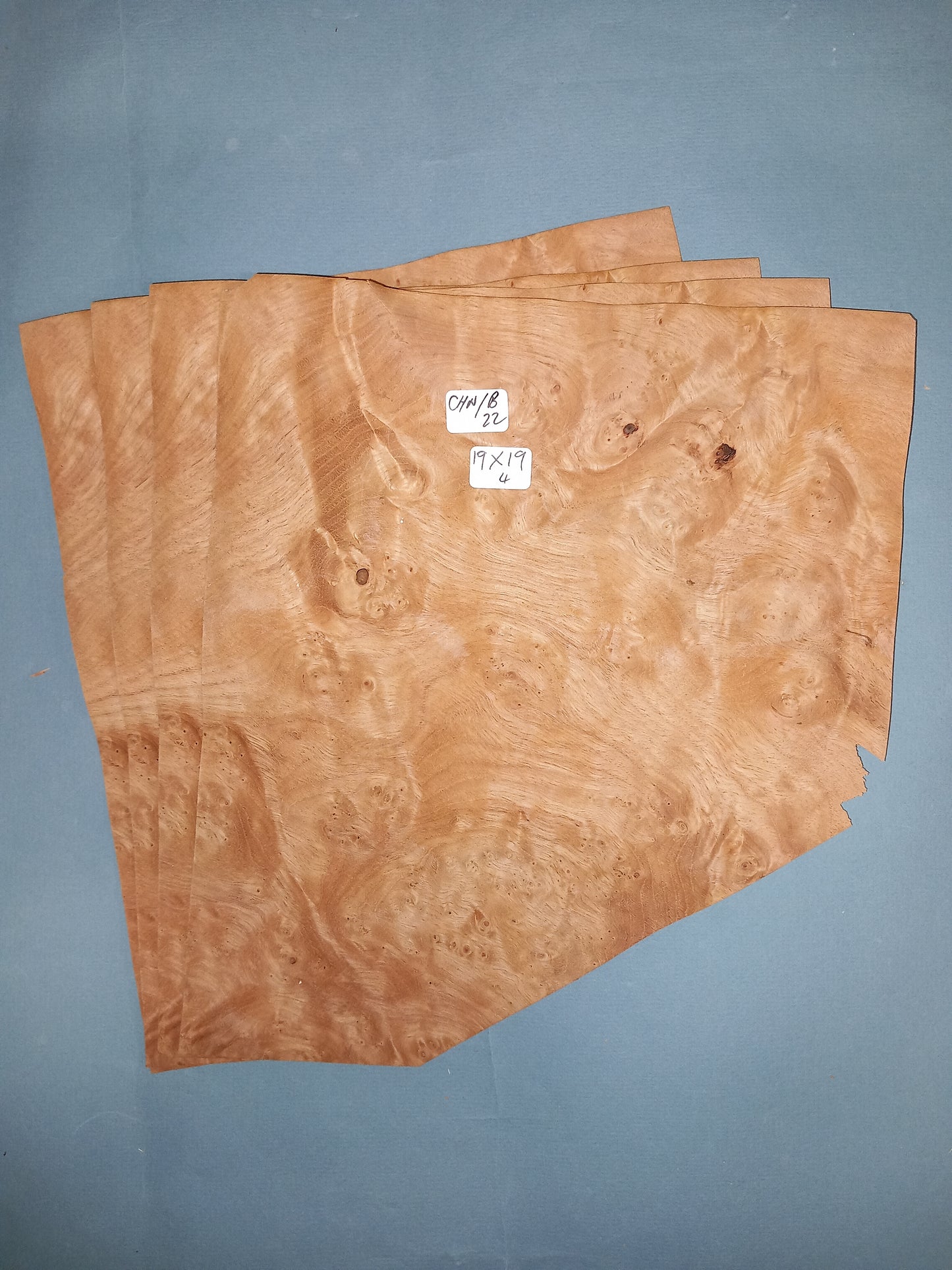 4 CONSECUTIVE SHEETS OF CHESTNUT BURR VENEER 19 X 19 CM
