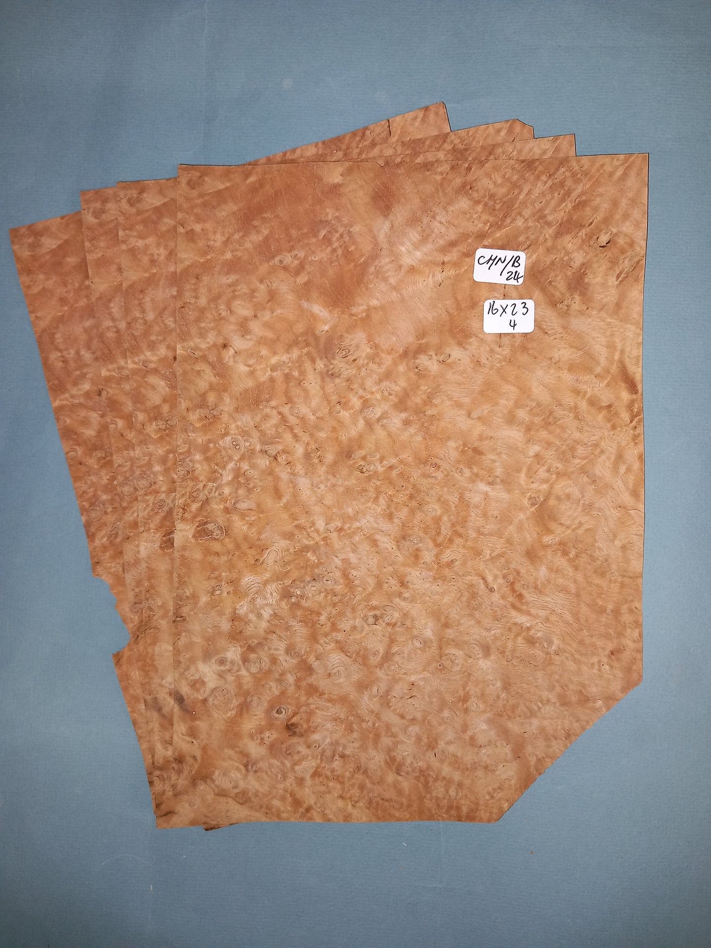 4 CONSECUTIVE SHEETS OF CHESTNUT BURR VENEER 16 X 23 CM