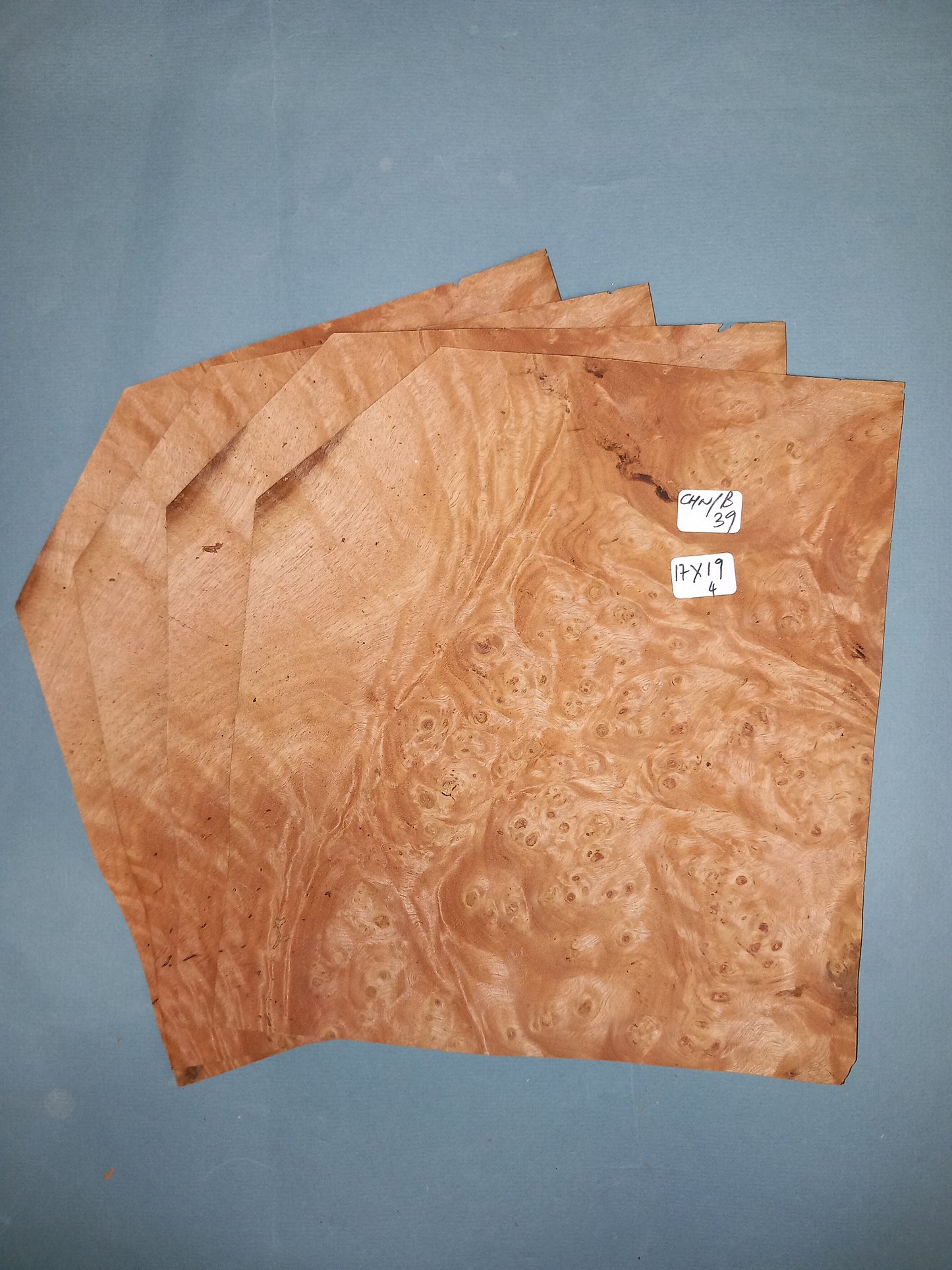 4 CONSECUTIVE SHEETS OF CHESTNUT BURR VENEER 17 X 19 CM