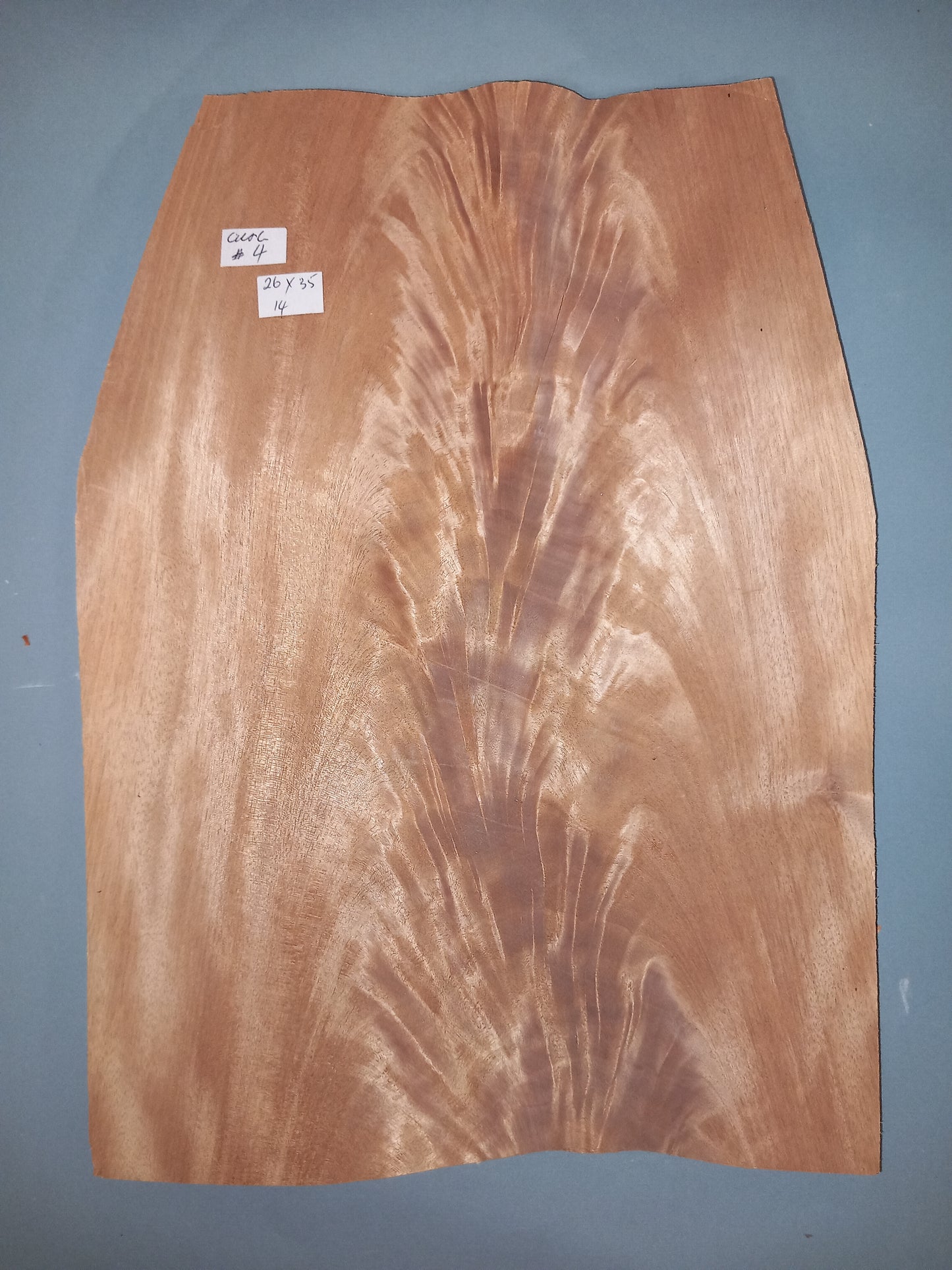 PALE CURL - 1 CONSECUTIVE SHEET 26x35cm