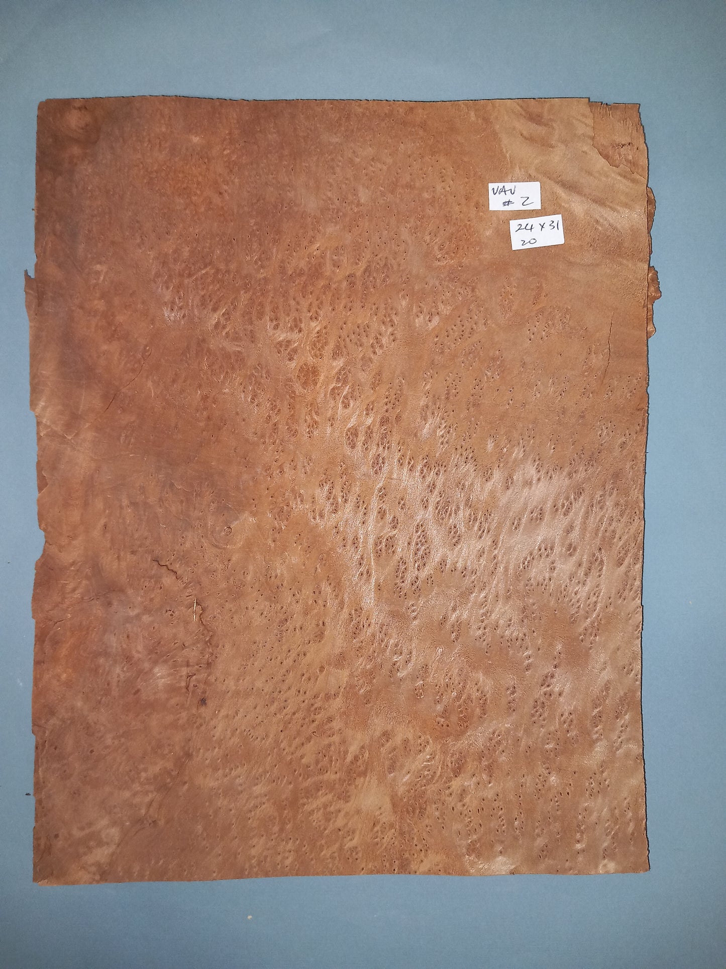 VAVONA BURR - 1 CONSECUTIVE SHEET 24x31cm