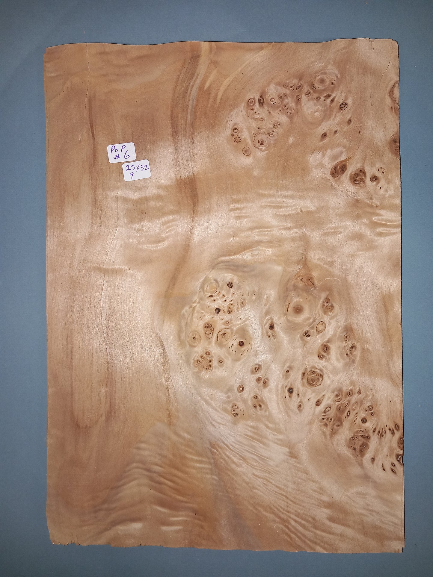 CONSECUTIVE SHEETS OF POPLAR BURR VENEER 23 X 32 CM