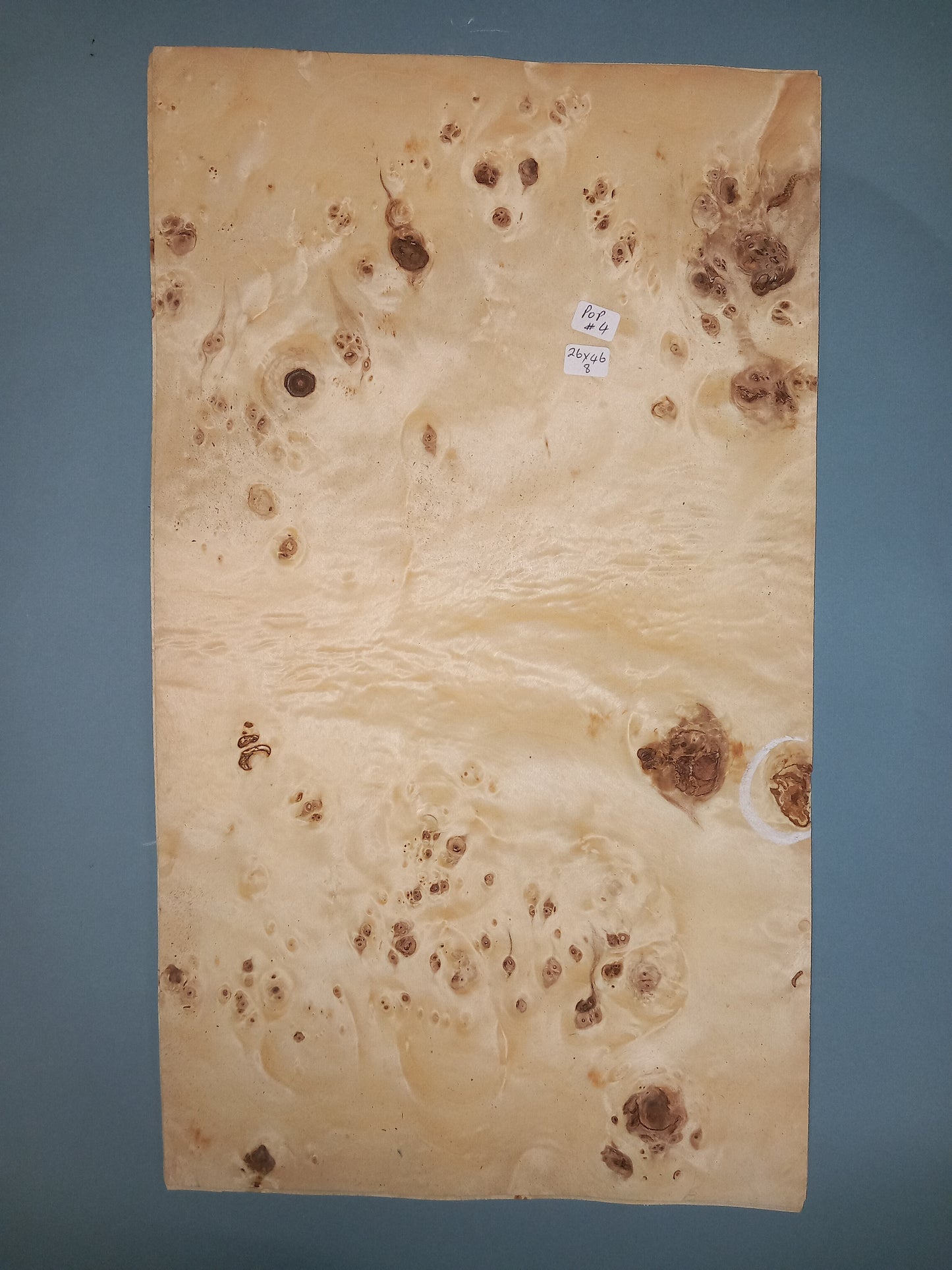 CONSECUTIVE SHEETS OF POPLAR BURR VENEER 26 X 46 CM