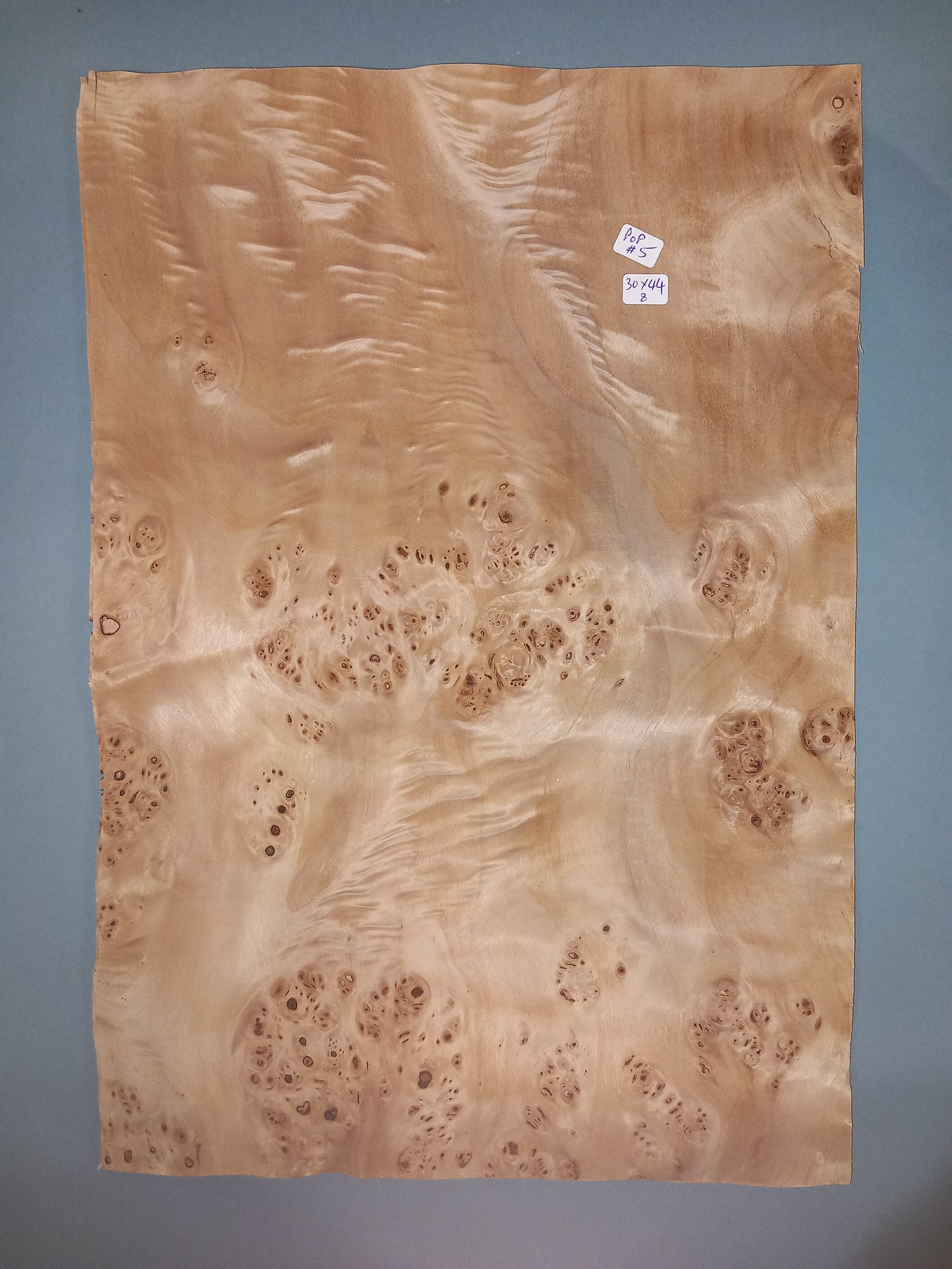 CONSECUTIVE SHEETS OF POPLAR BURR VENEER 30 X 44 CM