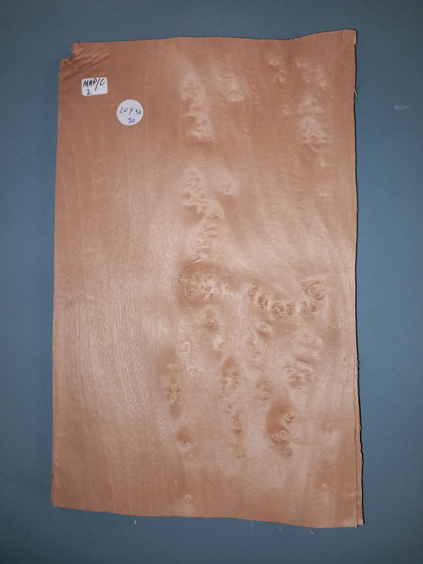 CONSECUTIVE SHEETS OF MAPLE CLUSTER VENEER 20 X 32 CM
