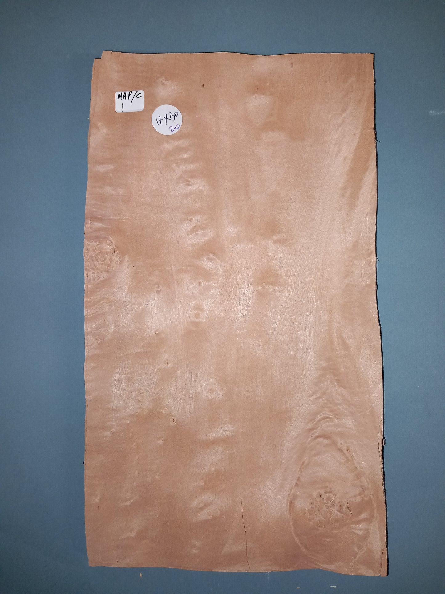 CONSECUTIVE SHEETS OF MAPLE CLUSTER VENEER 17 X 30 CM