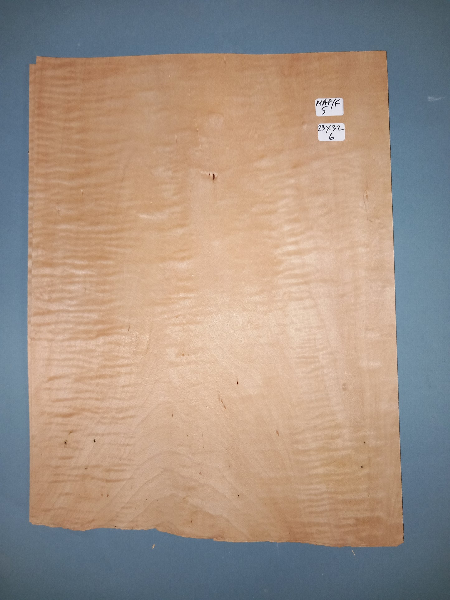 CONSECUTIVE SHEETS OF FIGURED MAPLE VENEER 23 X 32 CM