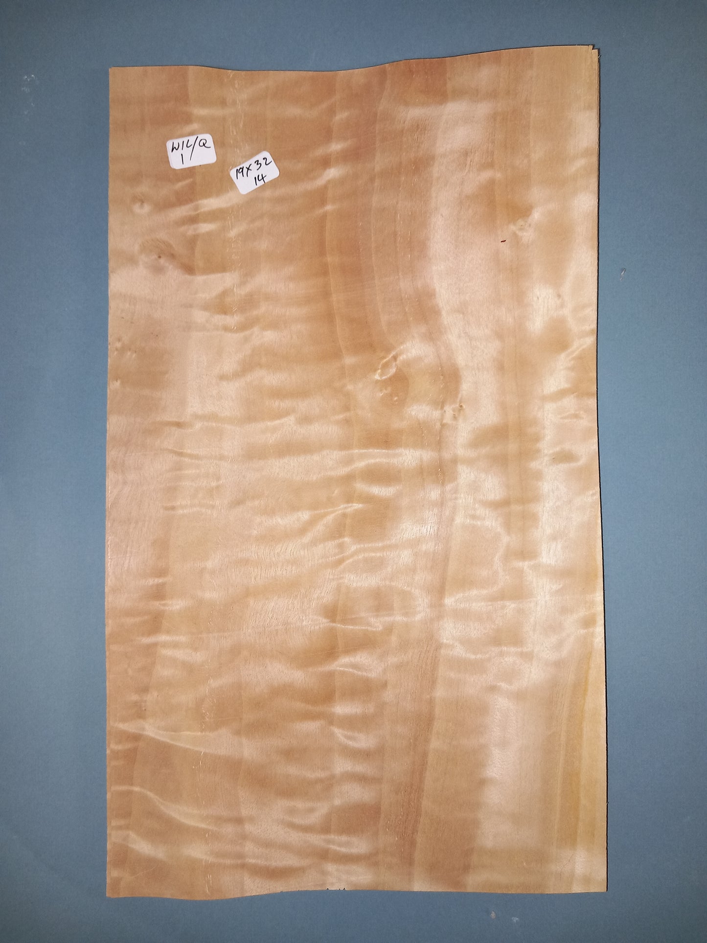 CONSECUTIVE SHEETS OF QUILTED WILLOW VENEER 19 X 32 CM