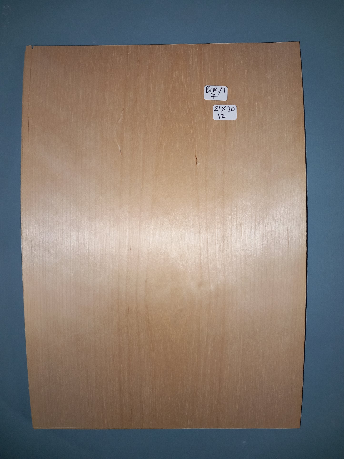 CONSECUTIVE SHEETS OF ICED BIRCH VENEER 21 X 30 CM