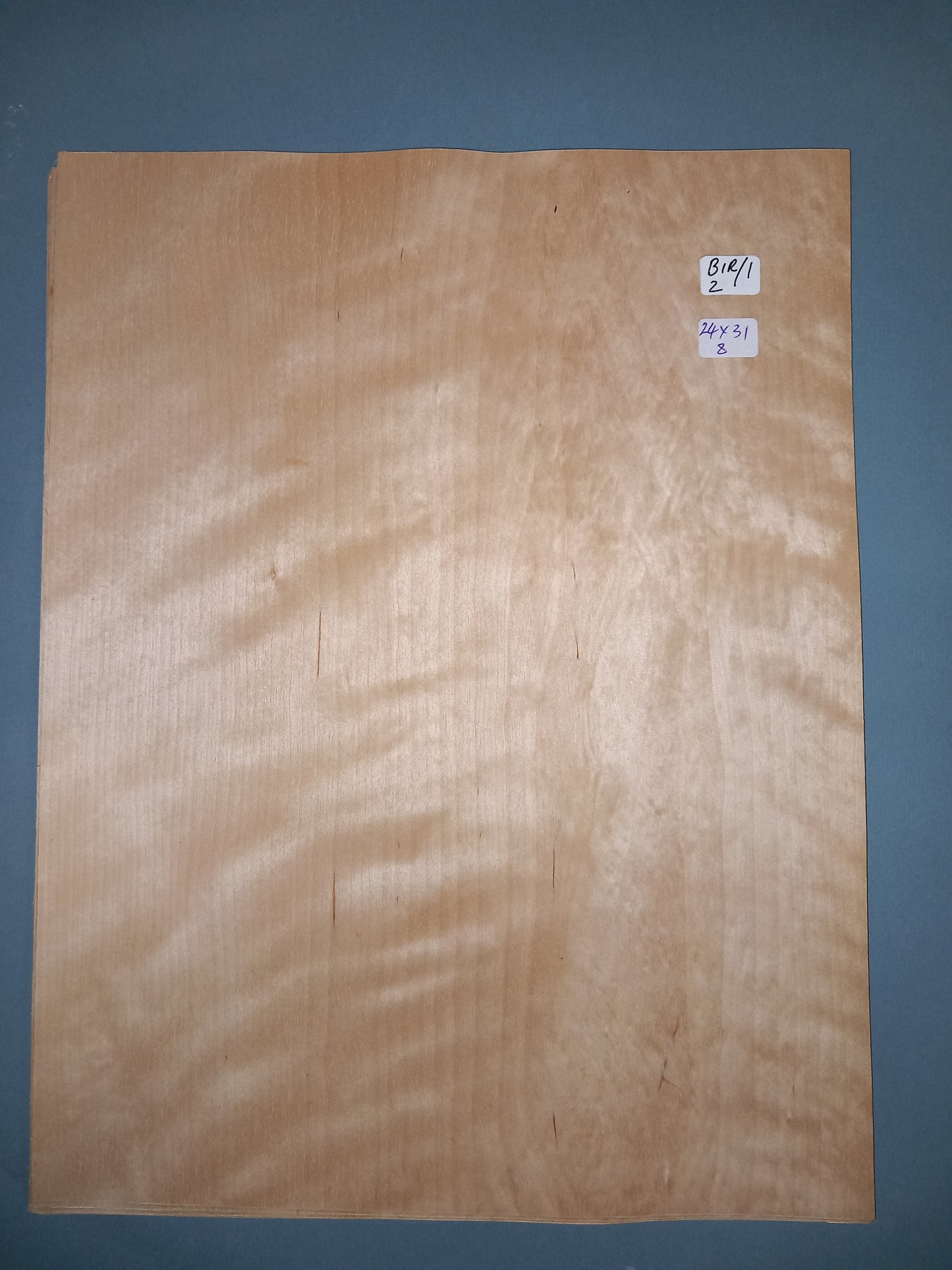 CONSECUTIVE SHEETS OF ICED BIRCH VENEER 24 X 31 CM