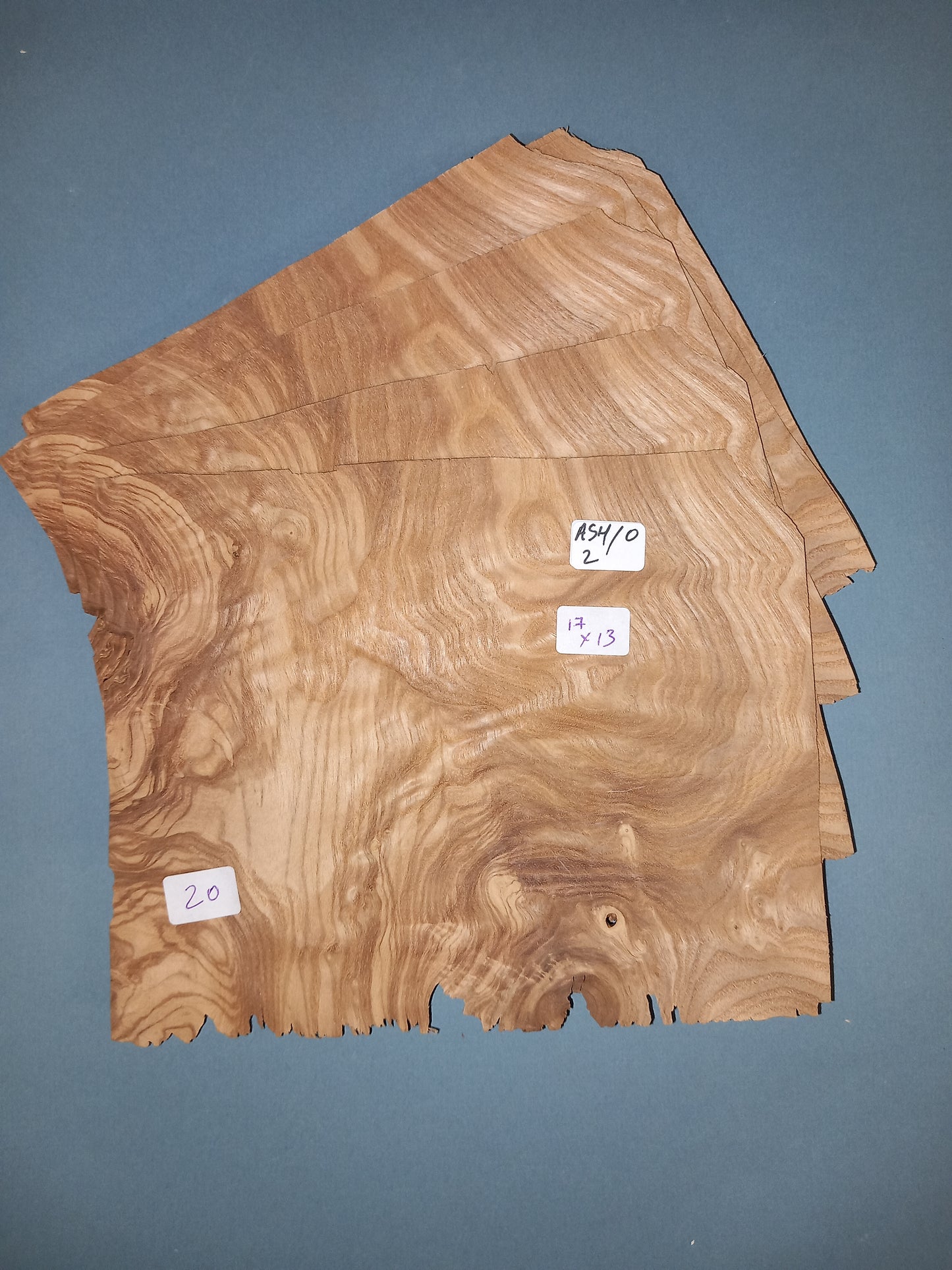 4 CONSECUTIVE SHEETS OF OLIVE ASH VENEER 17 X 13 CM