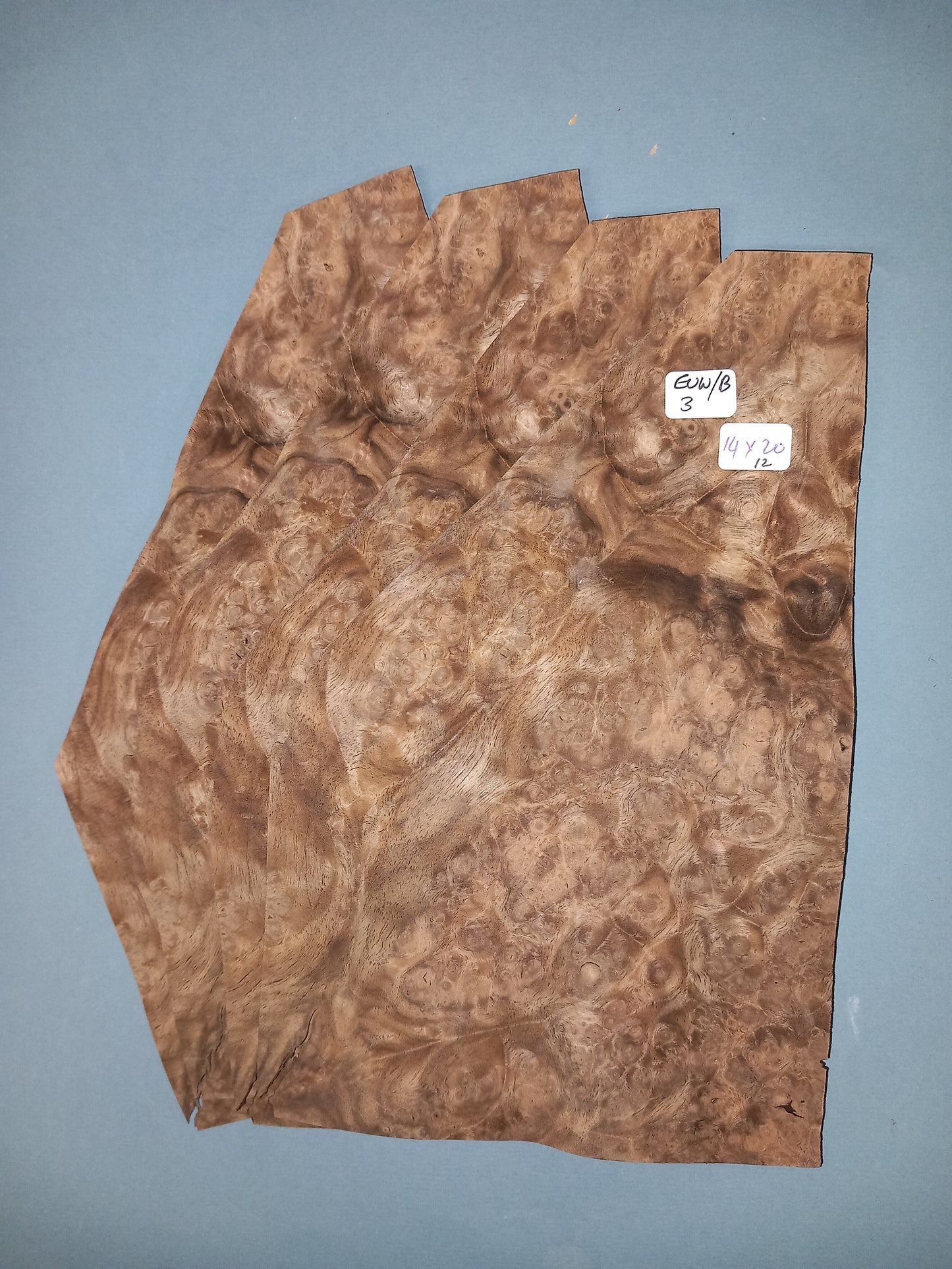 4 CONSECUTIVE SHEETS OF EUROPEAN WALNUT BURR VENEER 14 X 20 CM