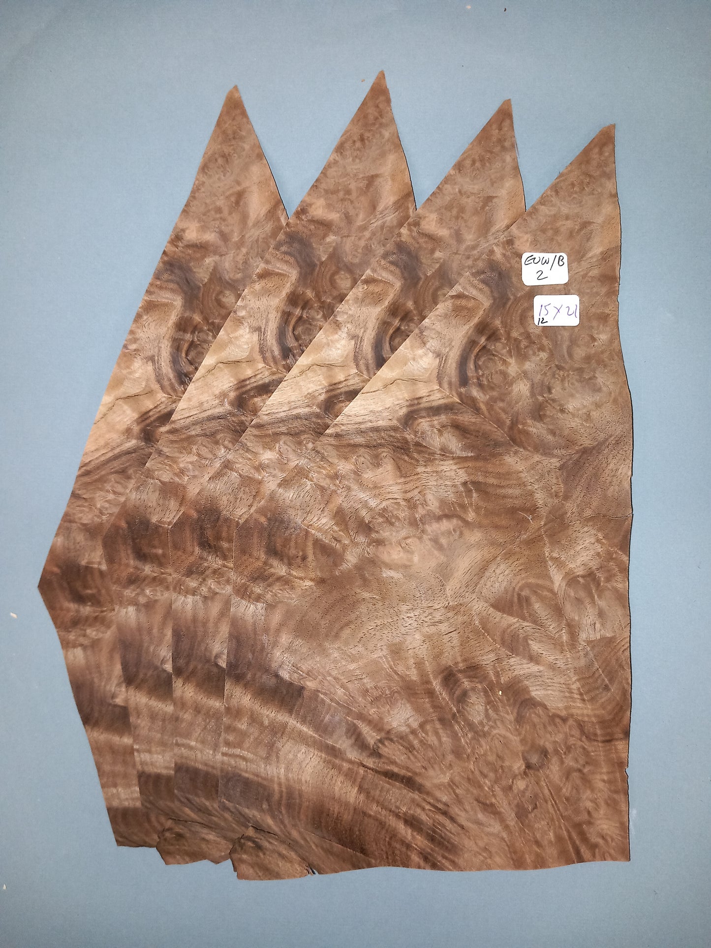 4 CONSECUTIVE SHEETS OF EUROPEAN WALNUT BURR VENEER 15 X 21 CM