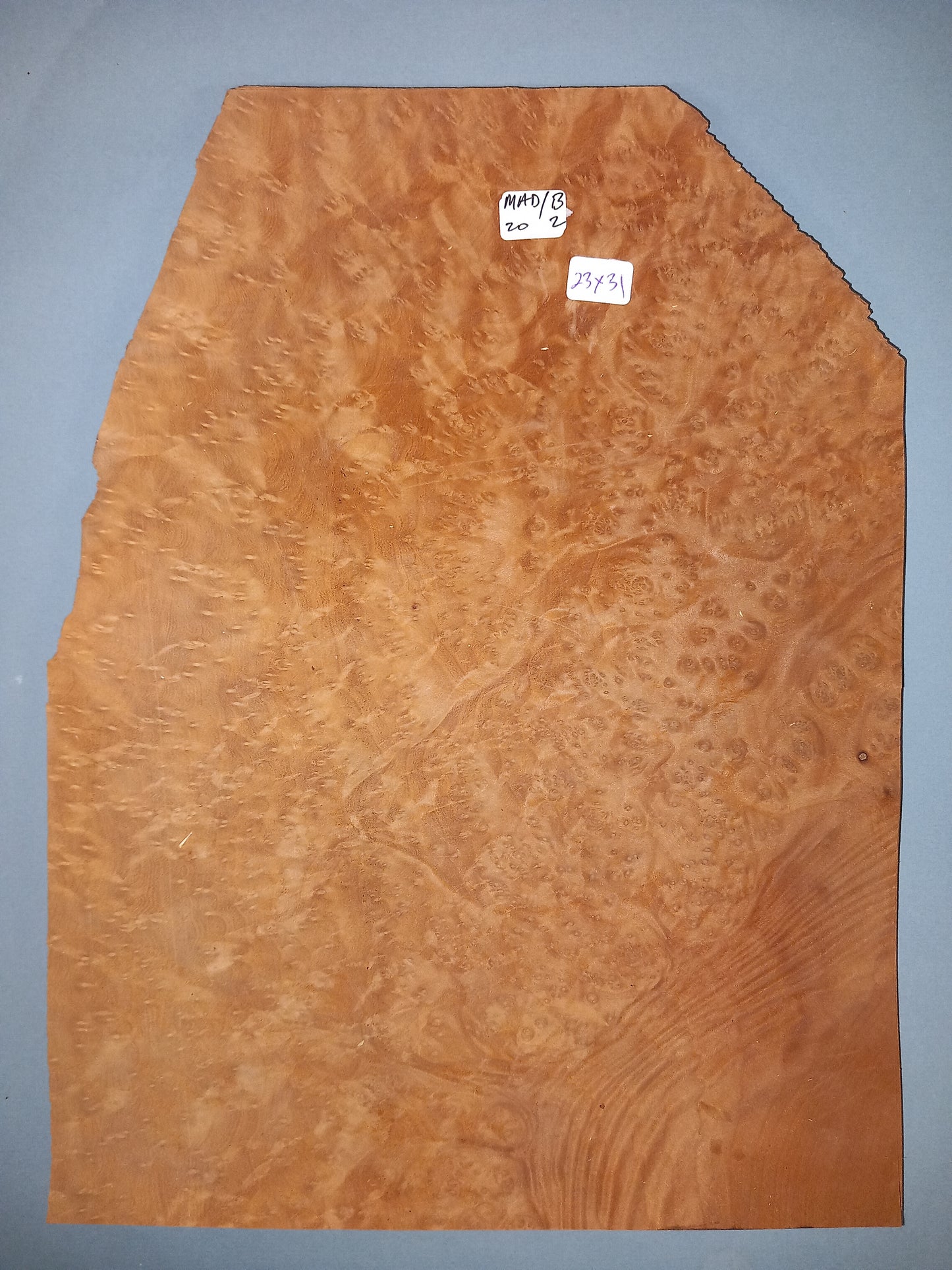 MADRONE BURR - 1 CONSECUTIVE SHEET 23x31cm