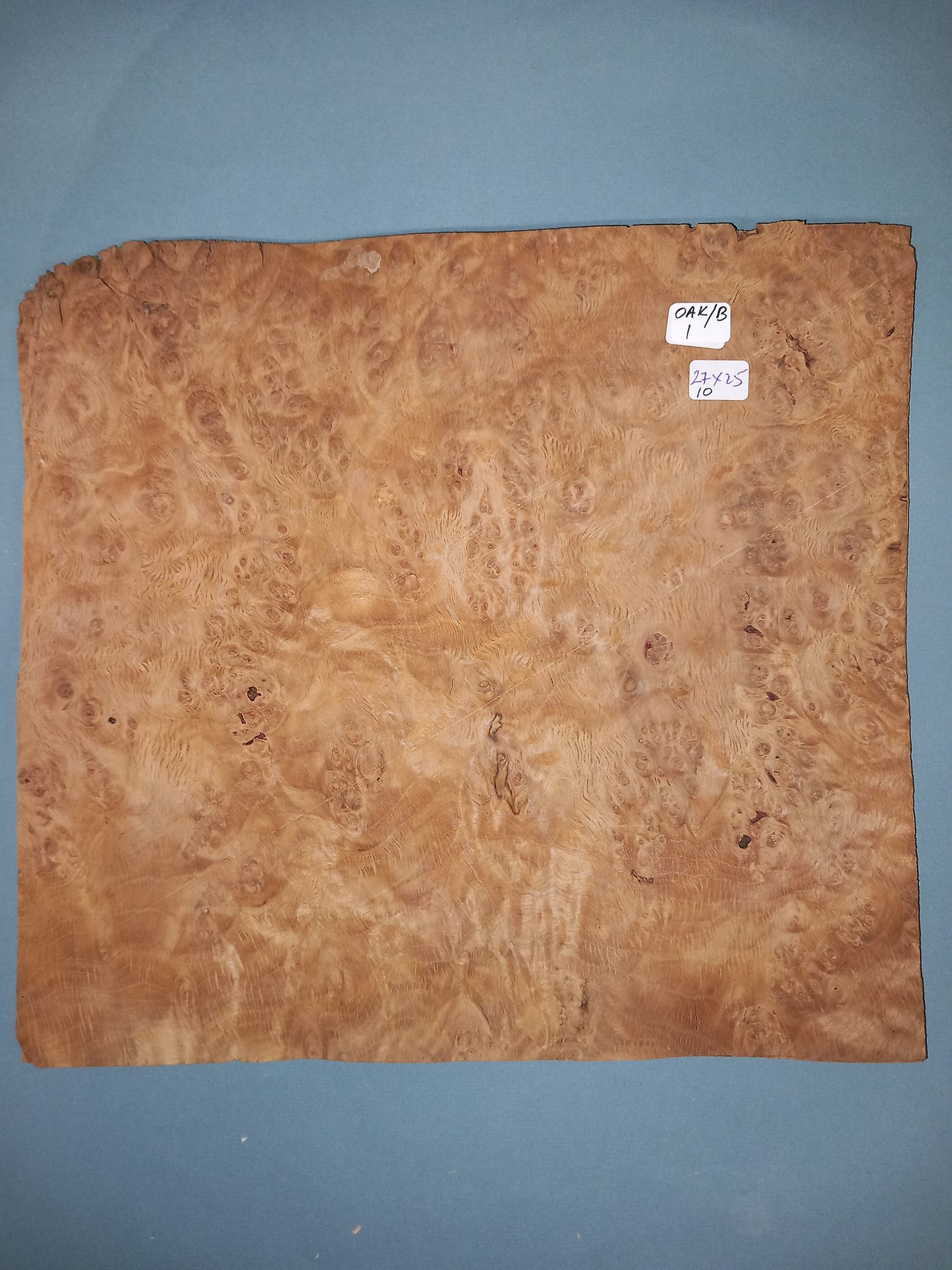 CONSECUTIVE SHEETS OF OAK BURR VENEER 27 X 25 CM