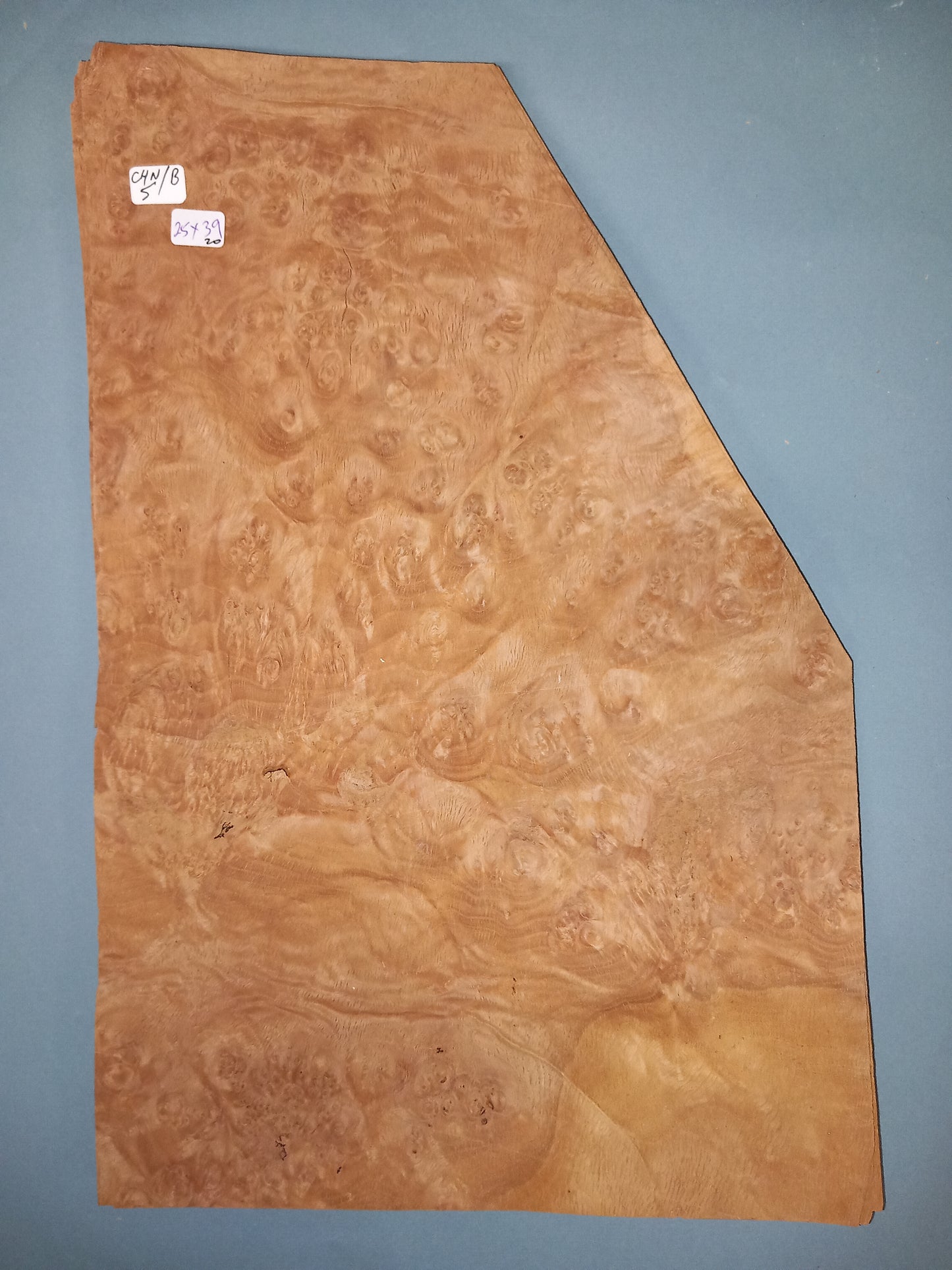 CONSECUTIVE SHEETS OF CHESTNUT BURR VENEER 25 X 39 CM