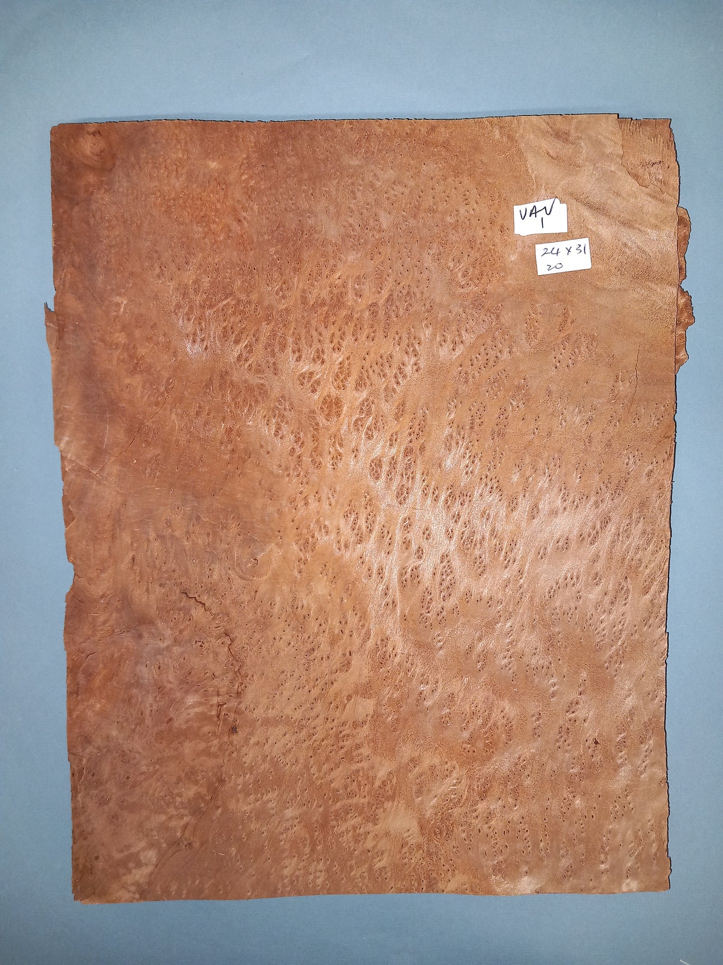 VAVONA BURR - 1 CONSECUTIVE SHEET 24x31cm