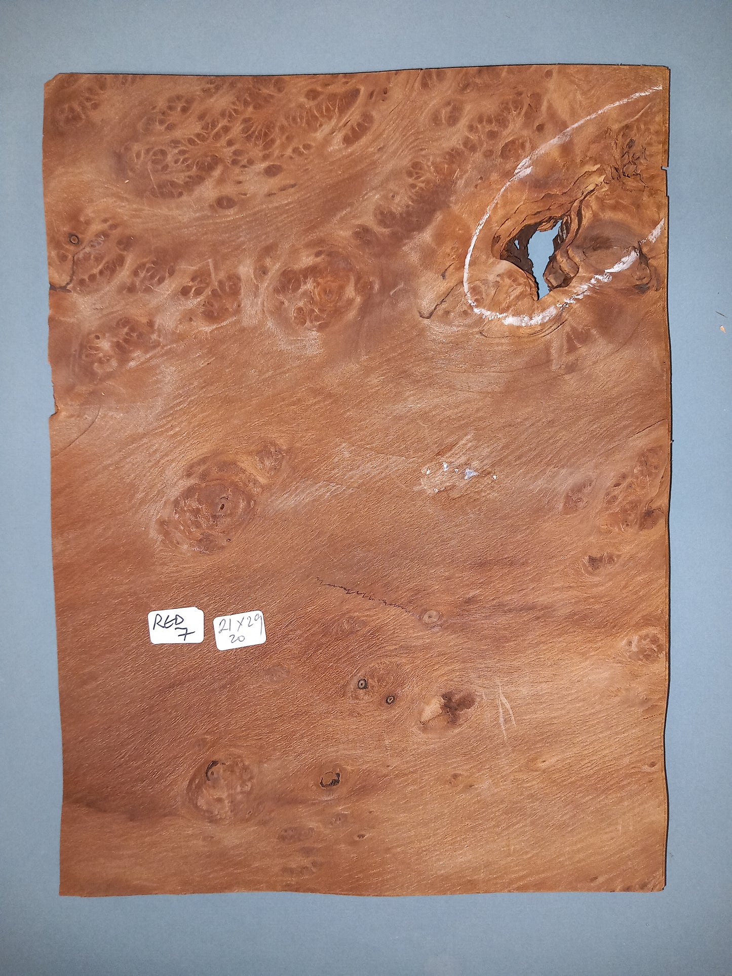 CONSECUTIVE SHEETS OF REDWOOD BURR VENEER 21 X 29 CM