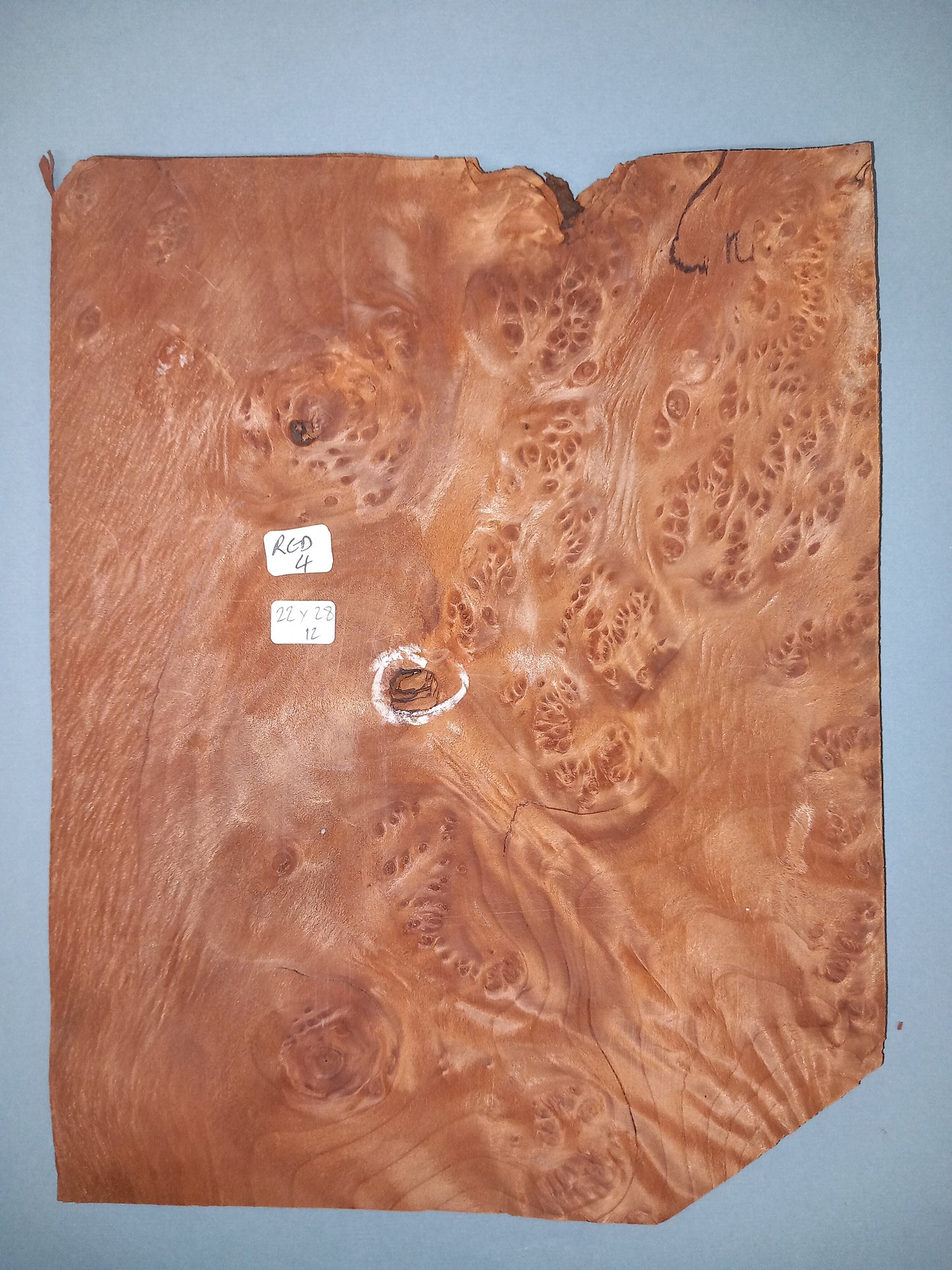 CONSECUTIVE SHEETS OF REDWOOD BURR VENEER 22 X 28 CM