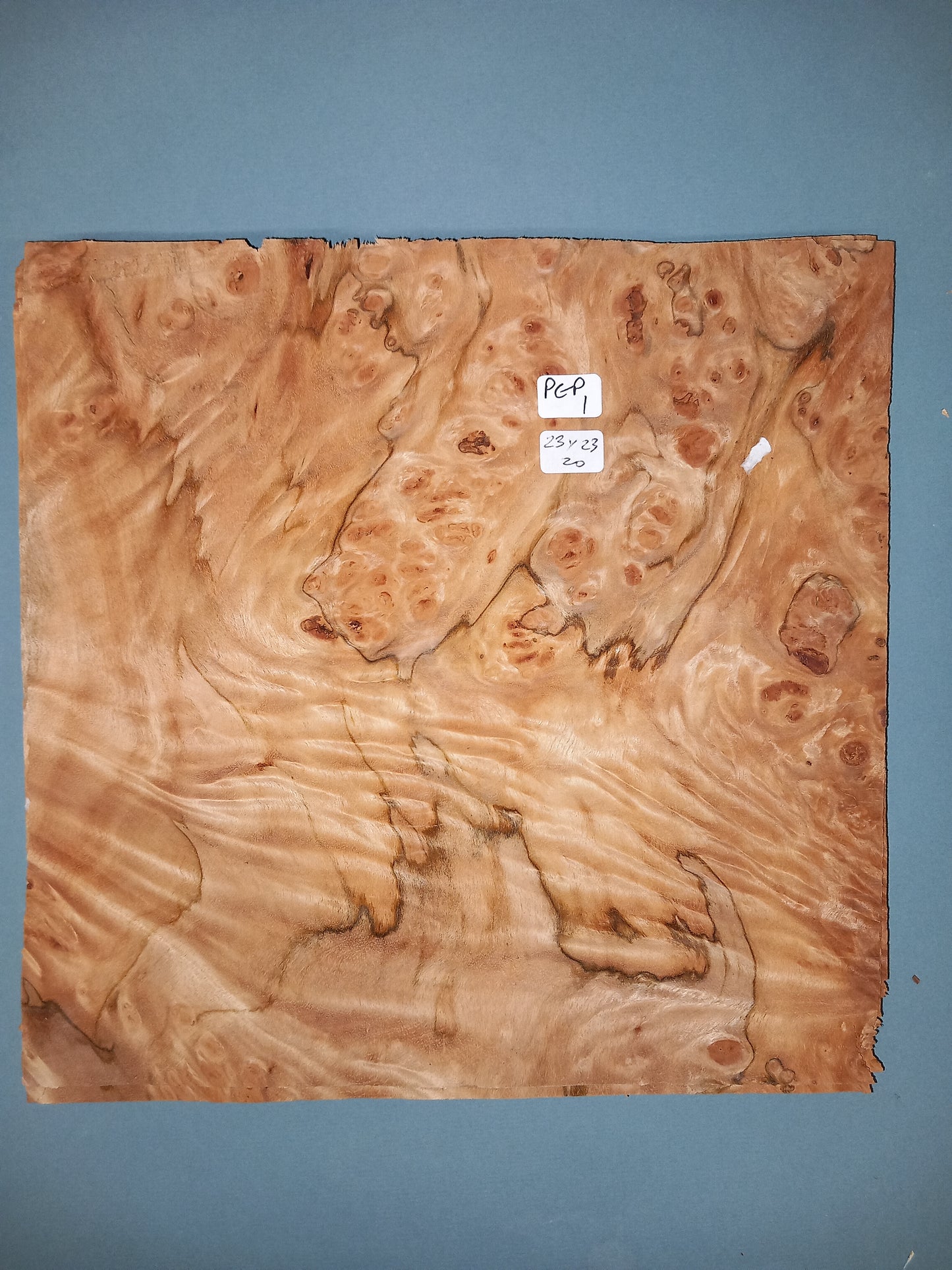 CONSECUTIVE SHEETS OF PEPPERWOOD BURR VENEER 23 X 23 CM