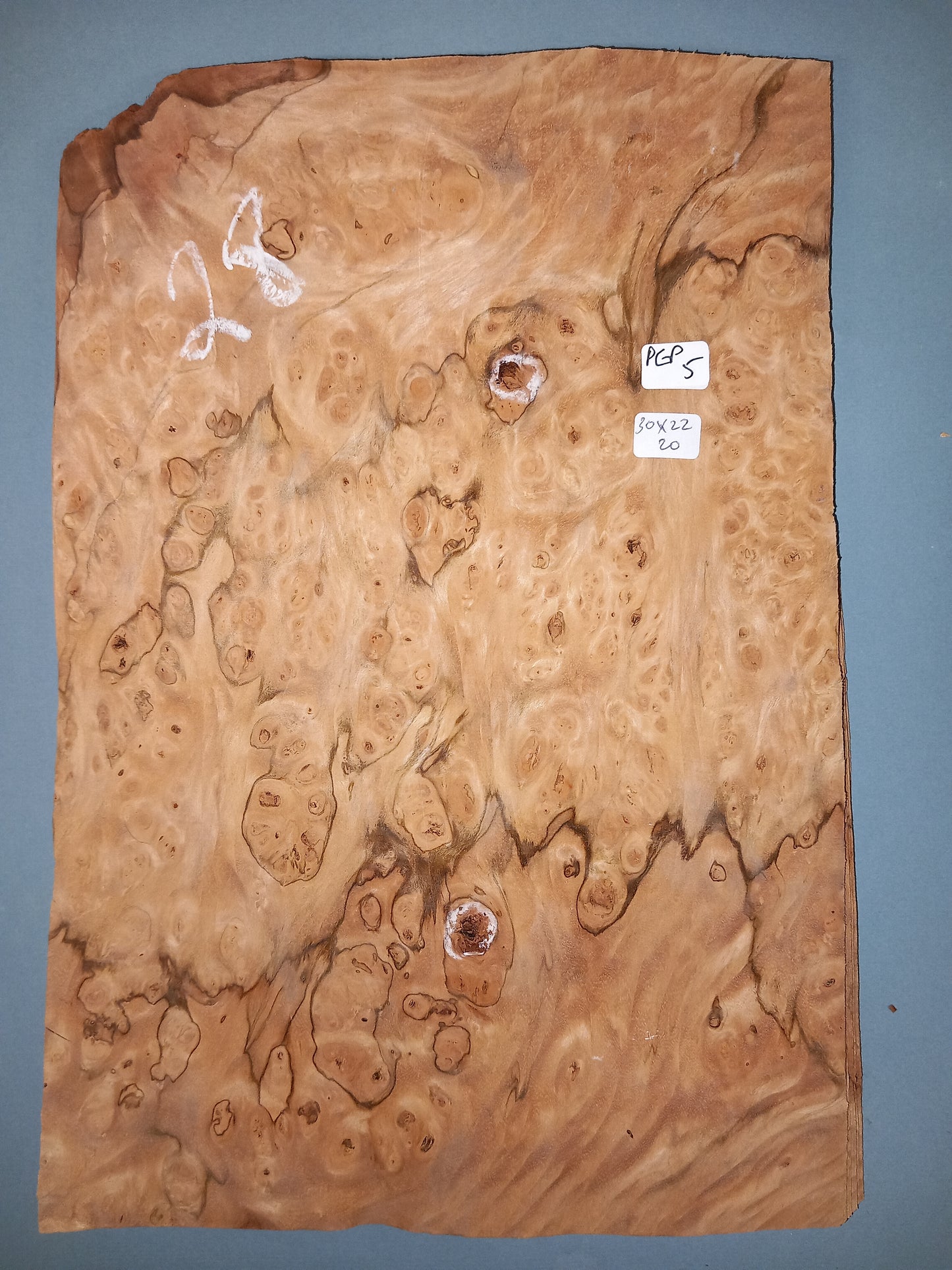 CONSECUTIVE SHEETS OF PEPPERWOOD BURR VENEER 30 X 22 CM
