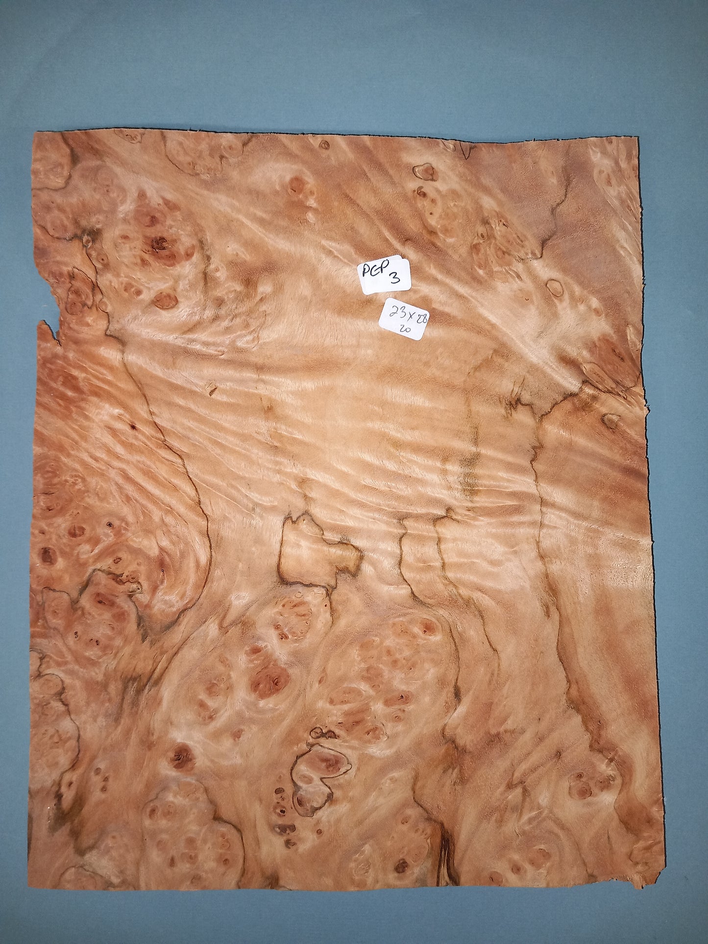 CONSECUTIVE SHEETS OF PEPPERWOOD BURR VENEER 23 X 28 CM