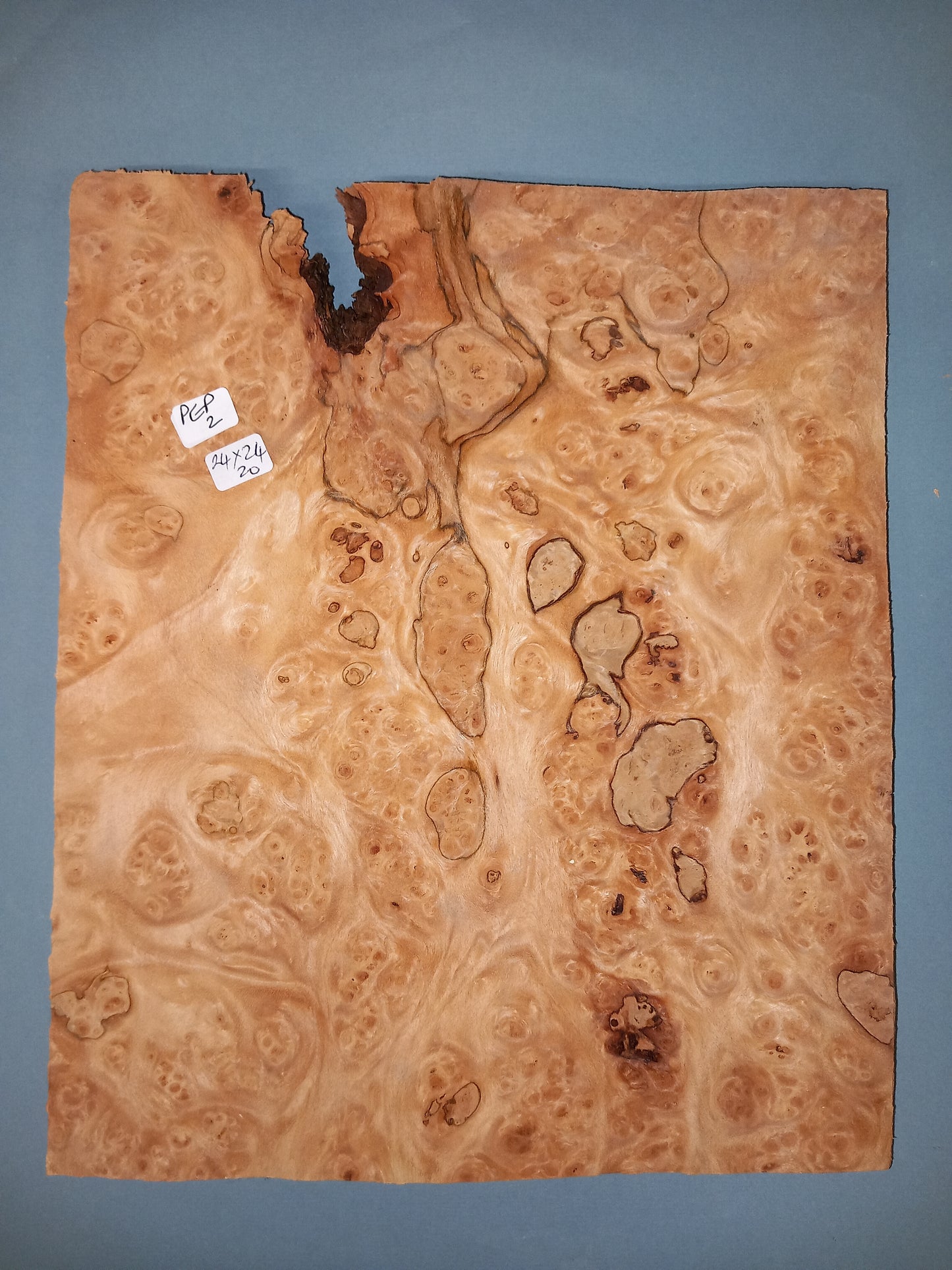 CONSECUTIVE SHEETS OF PEPPERWOOD BURR VENEER 24 X 24 CM