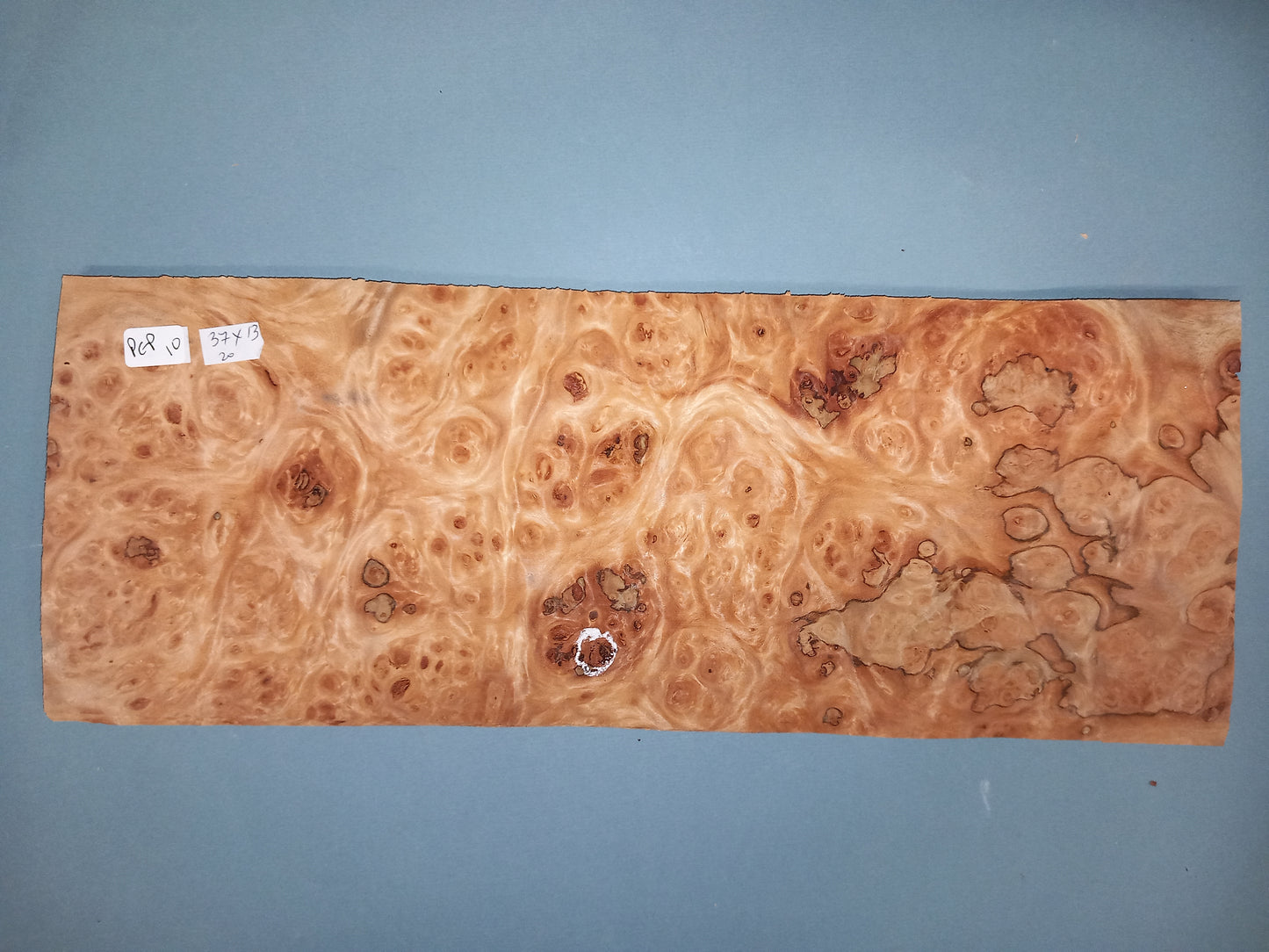 CONSECUTIVE SHEETS OF PEPPERWOOD BURR VENEER 37 X 13 CM