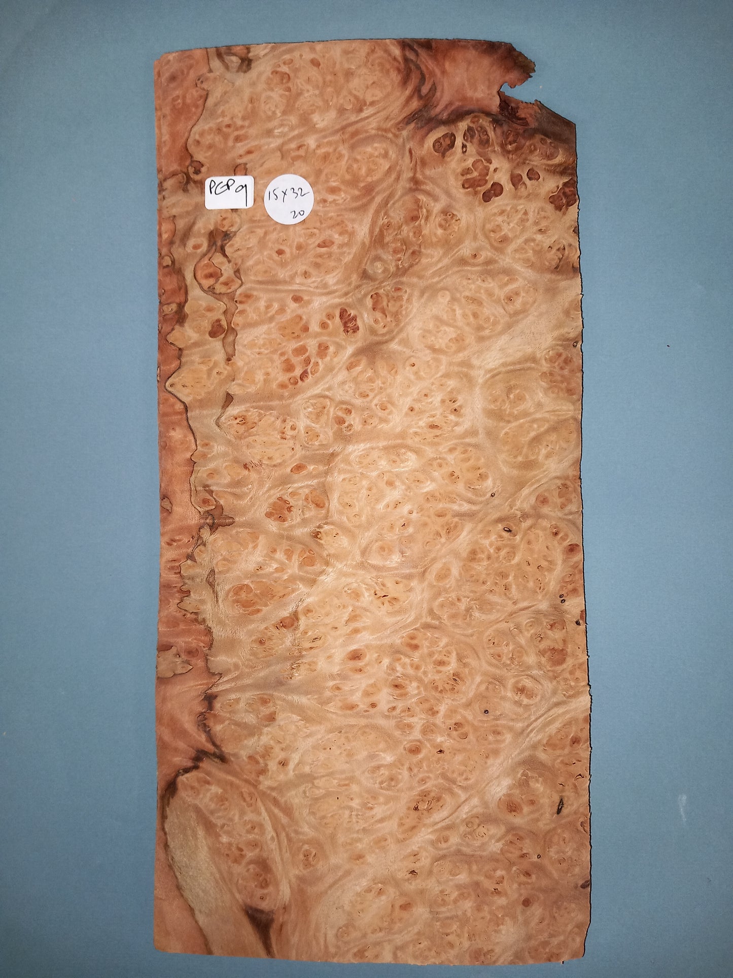 CONSECUTIVE SHEETS OF PEPPERWOOD BURR VENEER 15 X 32 CM