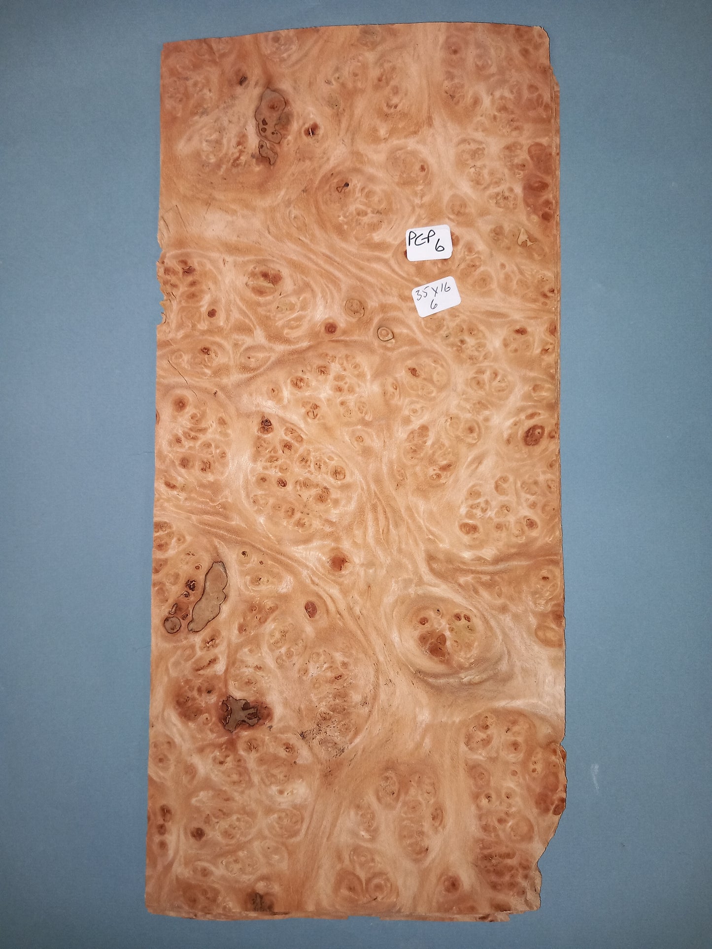 CONSECUTIVE SHEETS OF PEPPERWOOD BURR VENEER 35 X 16 CM