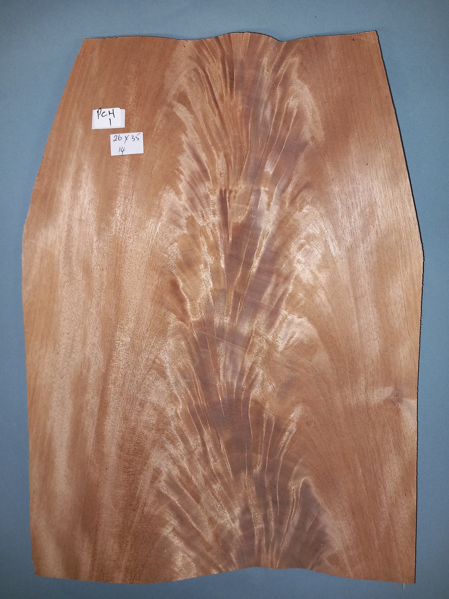 PALE CURL - 1 CONSECUTIVE SHEET 26x35cm