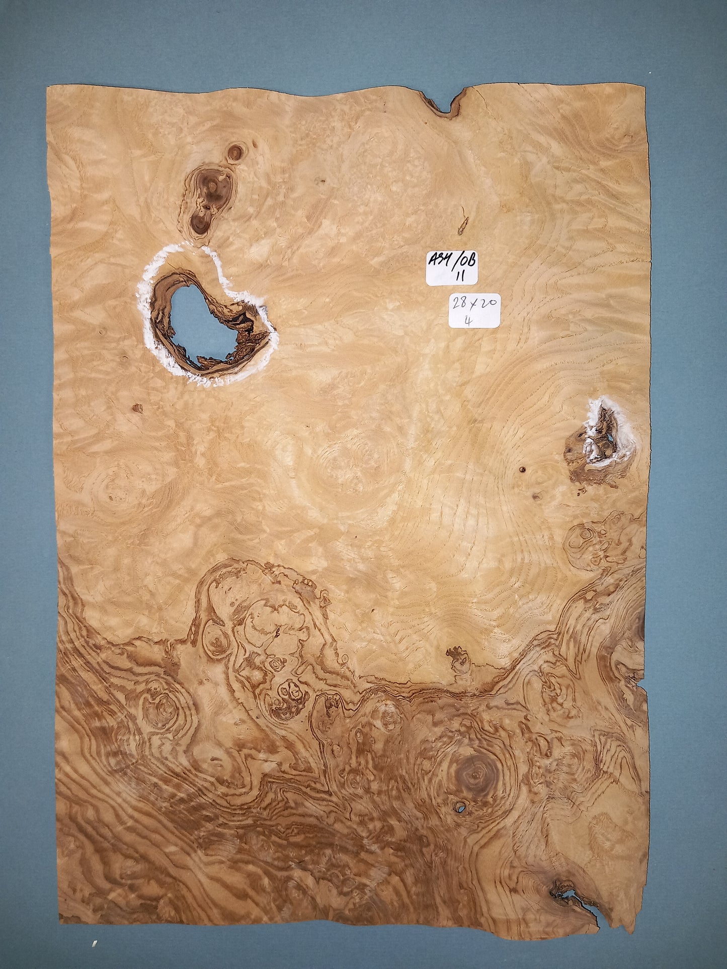 CONSECUTIVE SHEETS OF OLIVE ASH BURR VENEER 28 X 20 CM
