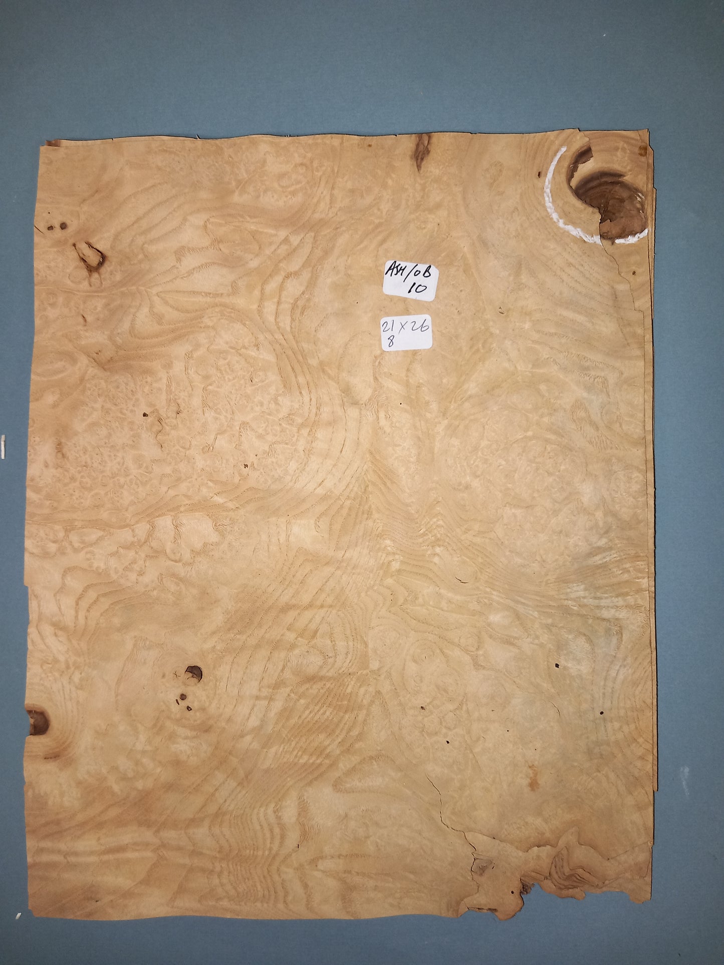 CONSECUTIVE SHEETS OF OLIVE ASH BURR VENEER 21 X 26 CM