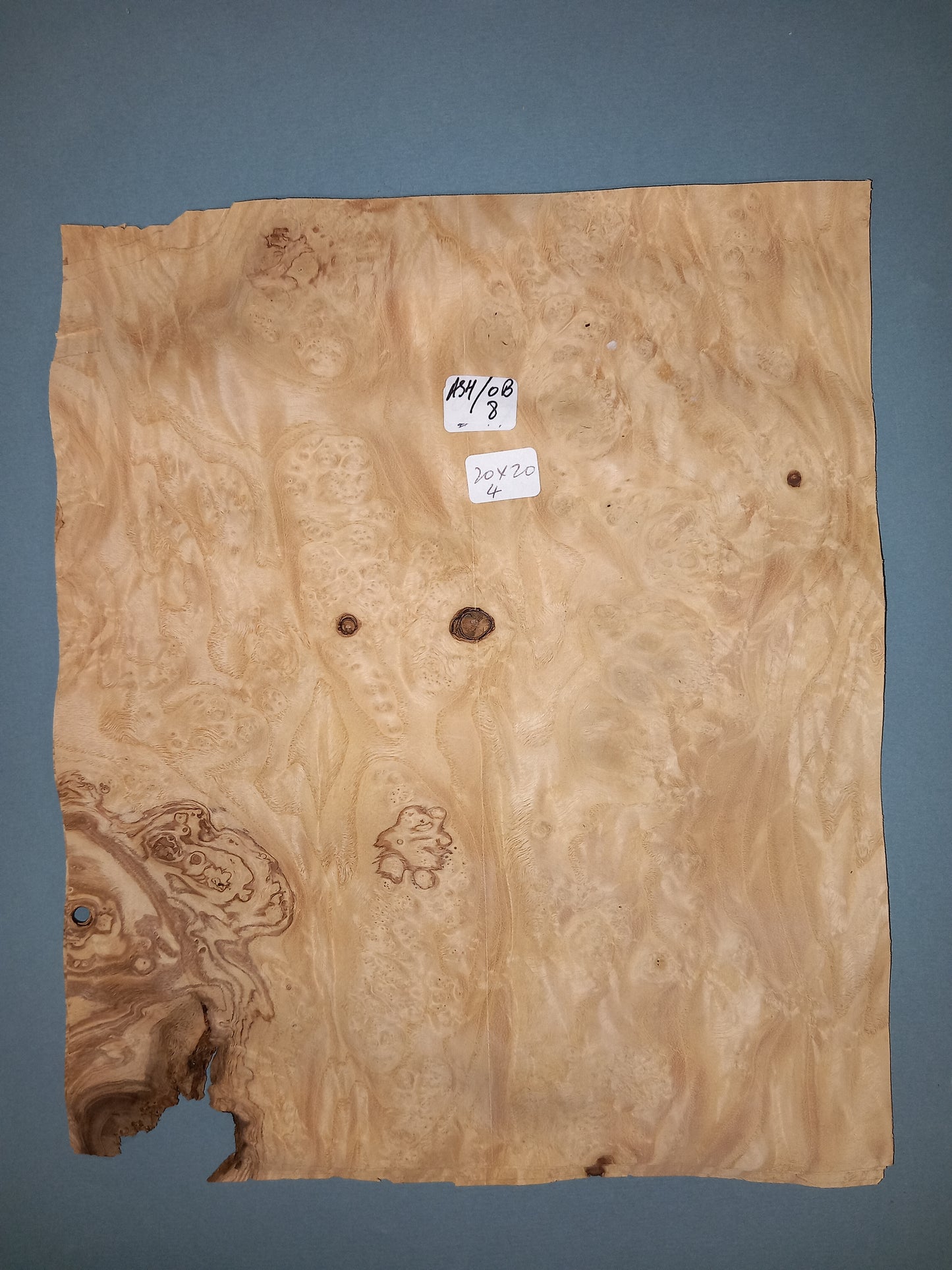 CONSECUTIVE SHEETS OF OLIVE ASH BURR VENEER 20 X 20 CM