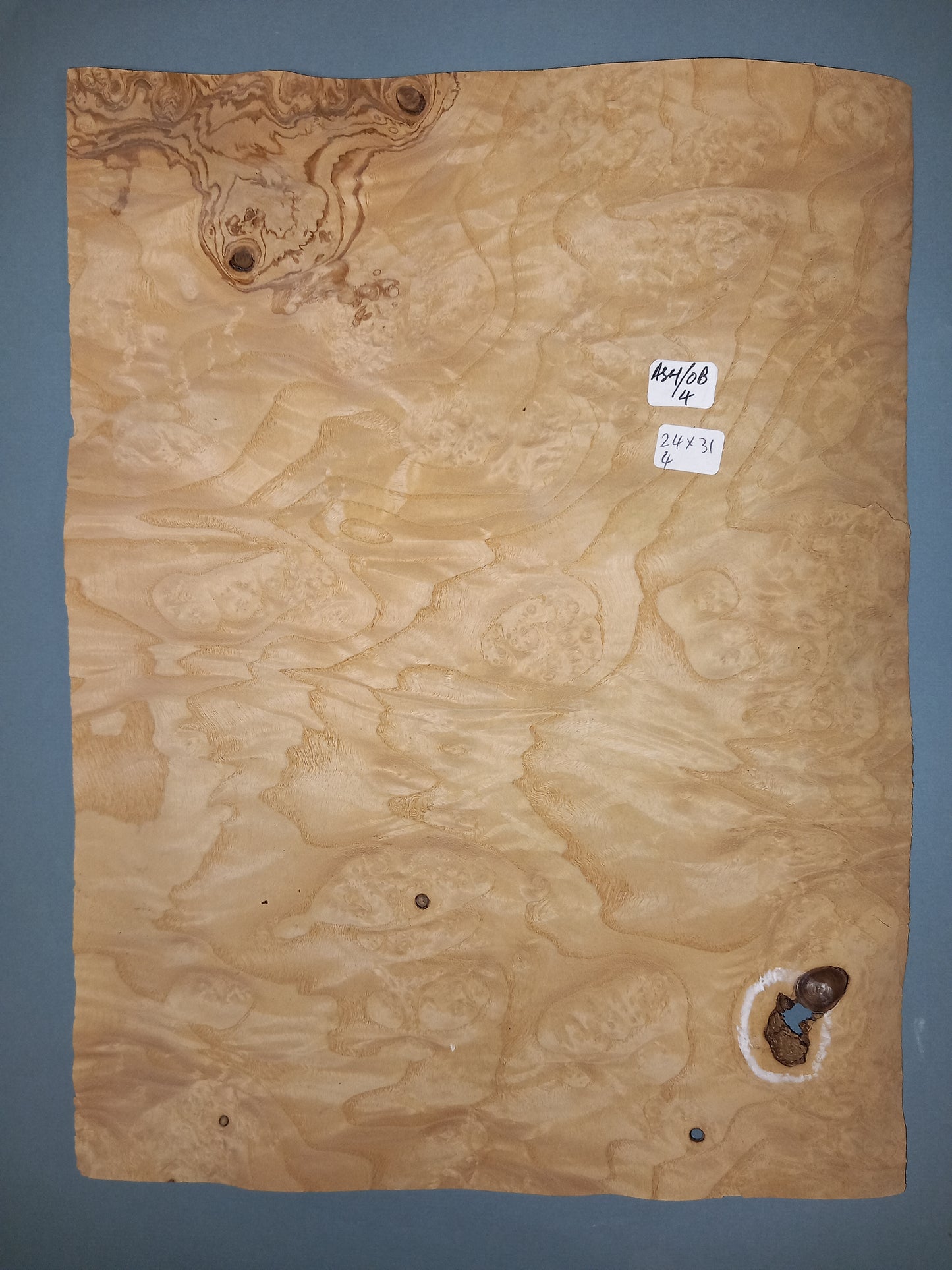 CONSECUTIVE SHEETS OF OLIVE ASH BURR VENEER 24 X 31 CM