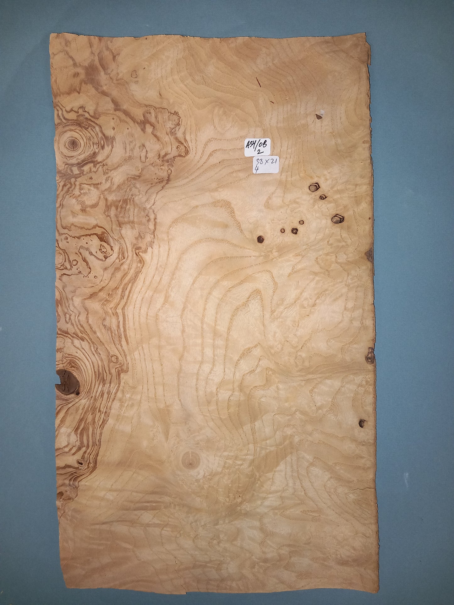 CONSECUTIVE SHEETS OF OLIVE ASH BURR VENEER 38 X 21 CM
