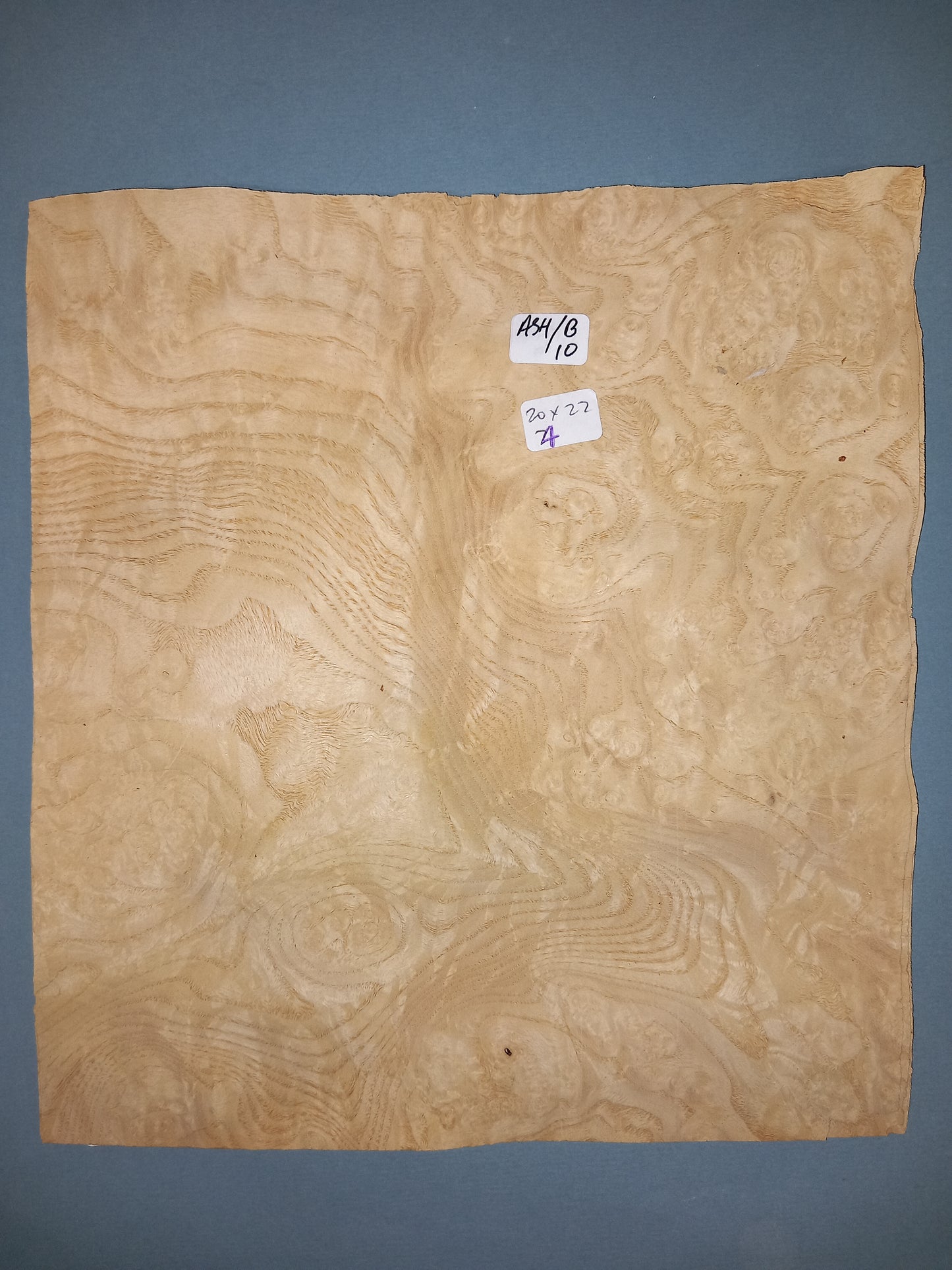CONSECUTIVE SHEETS OF ASH BURR VENEER 20 X 22 CM