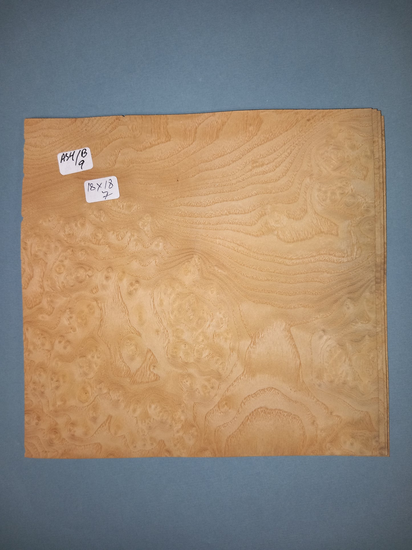 CONSECUTIVE SHEETS OF ASH BURR VENEER 18 X 18 CM