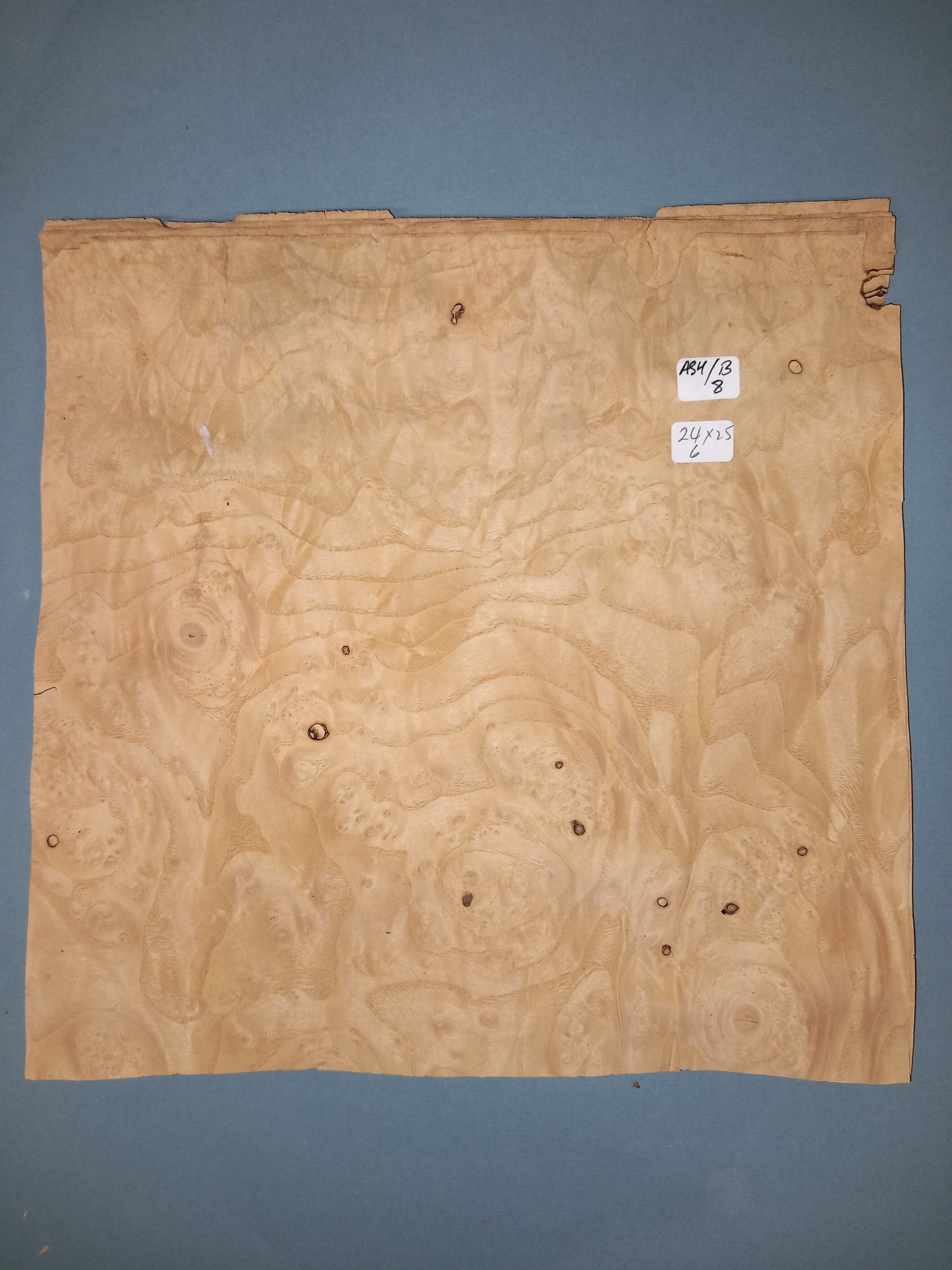 CONSECUTIVE SHEETS OF ASH BURR VENEER 24 X 25 CM