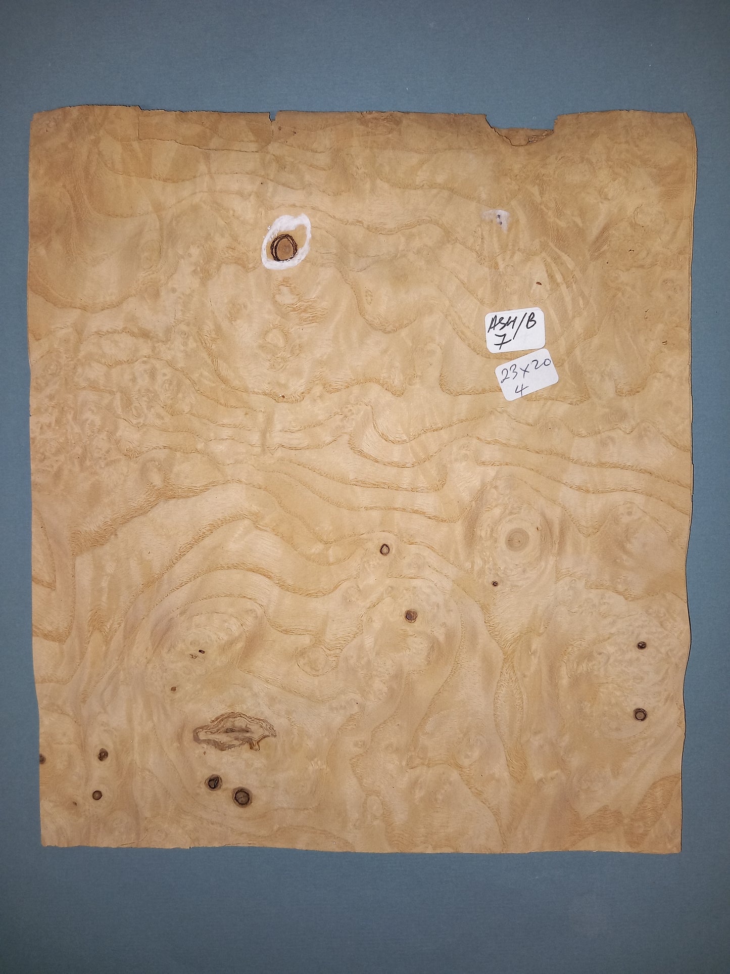 CONSECUTIVE SHEETS OF ASH BURR VENEER 23 X 20 CM