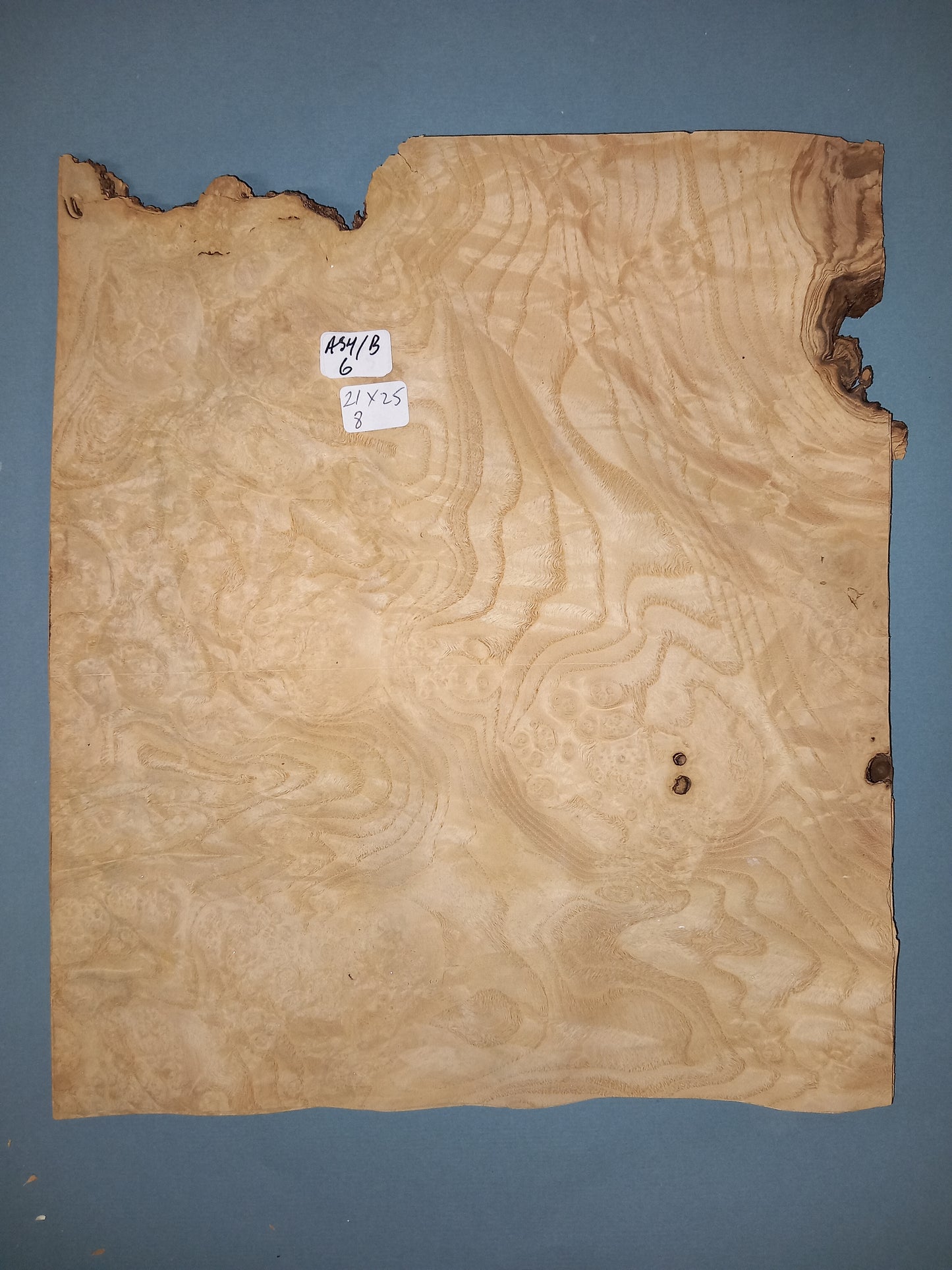 CONSECUTIVE SHEETS OF ASH BURR VENEER 21 X 25 CM