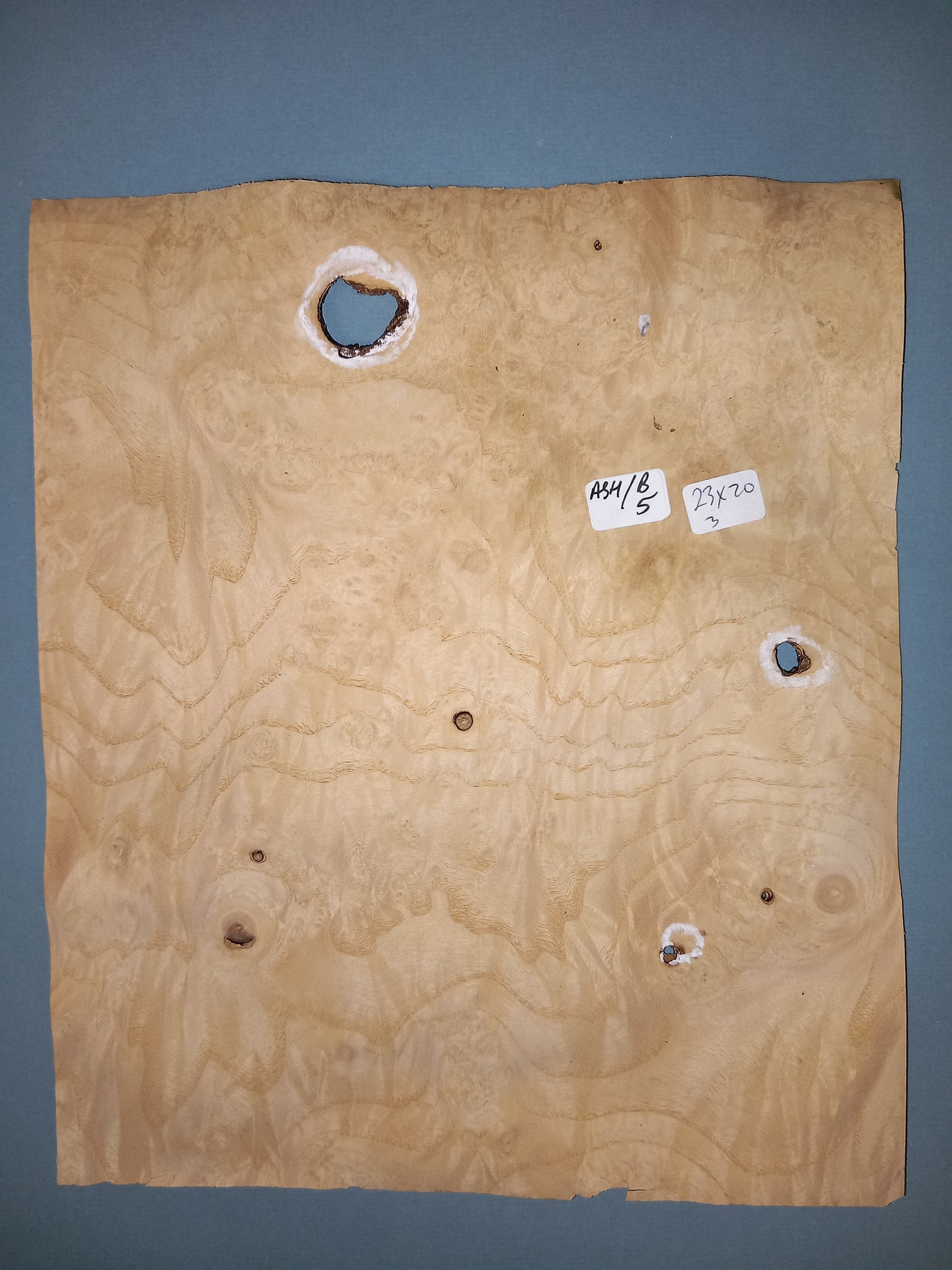 CONSECUTIVE SHEETS OF ASH BURR VENEER 23 X 20 CM
